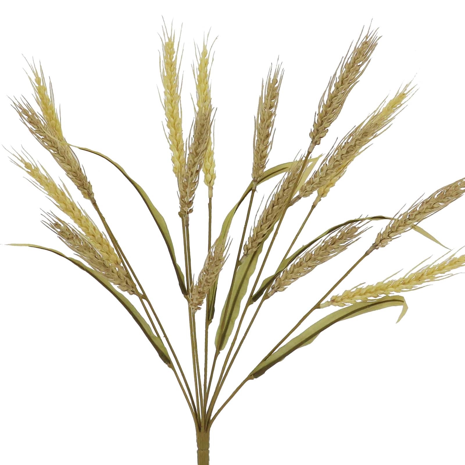 18&#x22; Wheat Bush by Ashland&#xAE;