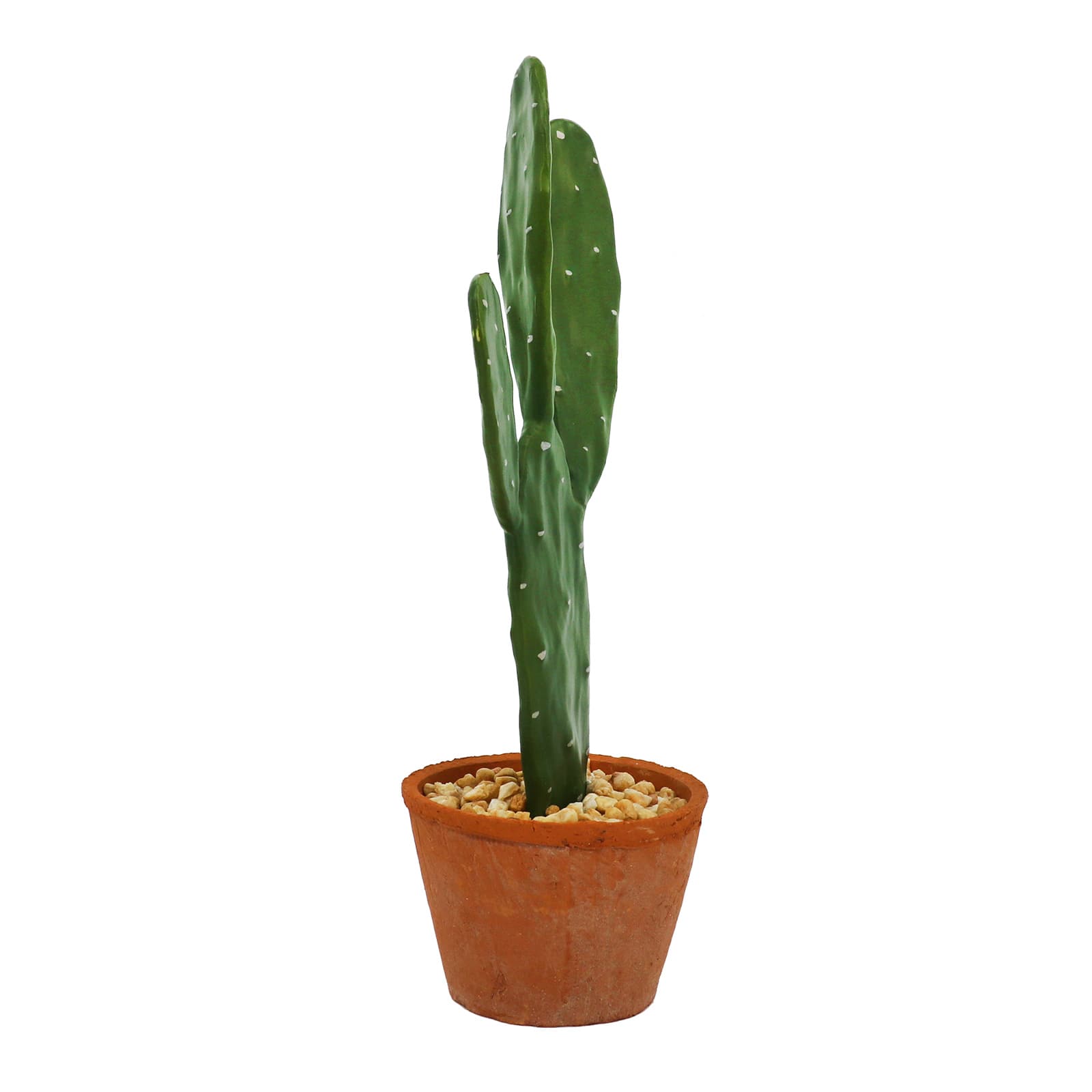 16&#x22; Potted Cactus Tabletop D&#xE9;cor by Ashland&#xAE;