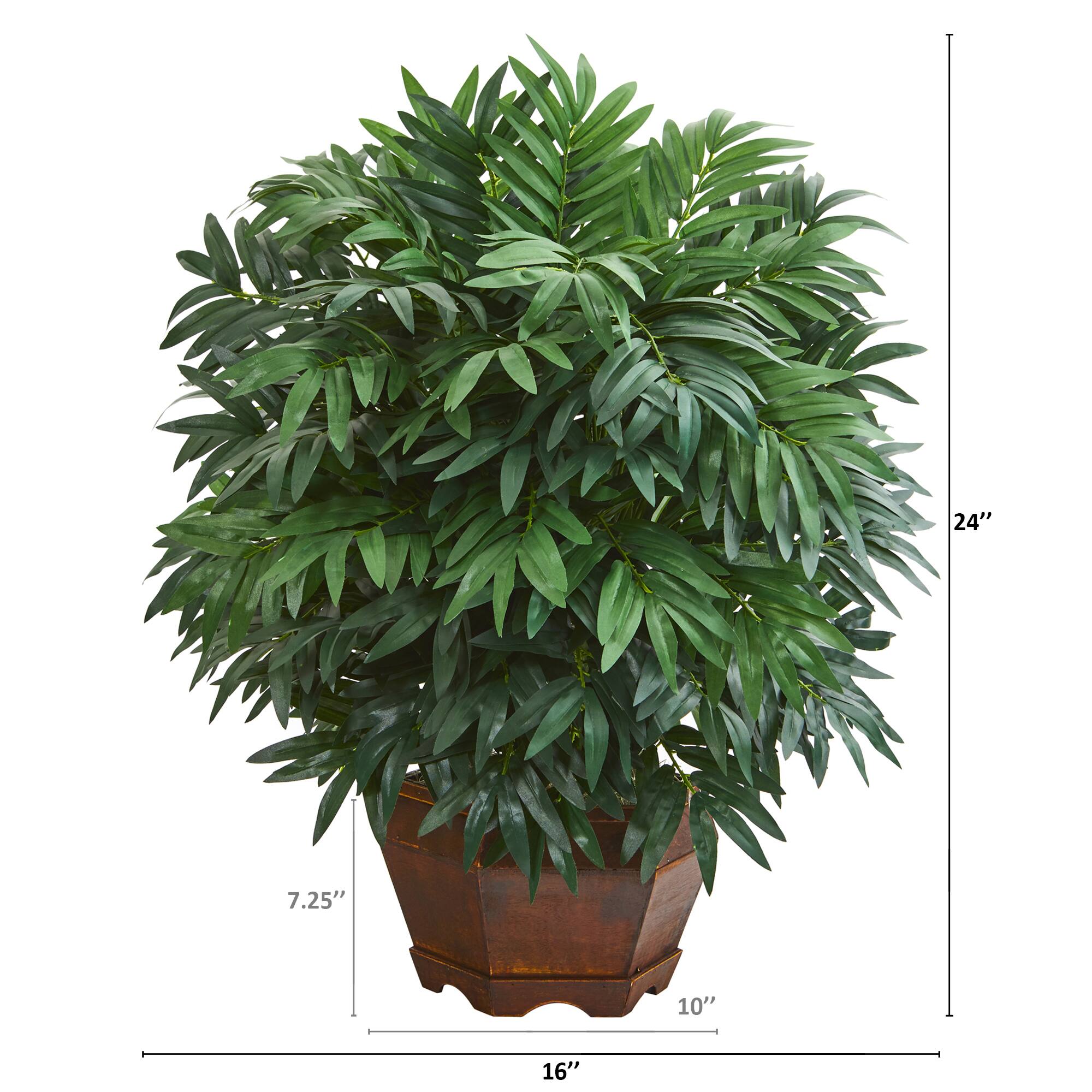 24&#x22; Bamboo Palm Plant in Decorative Planter
