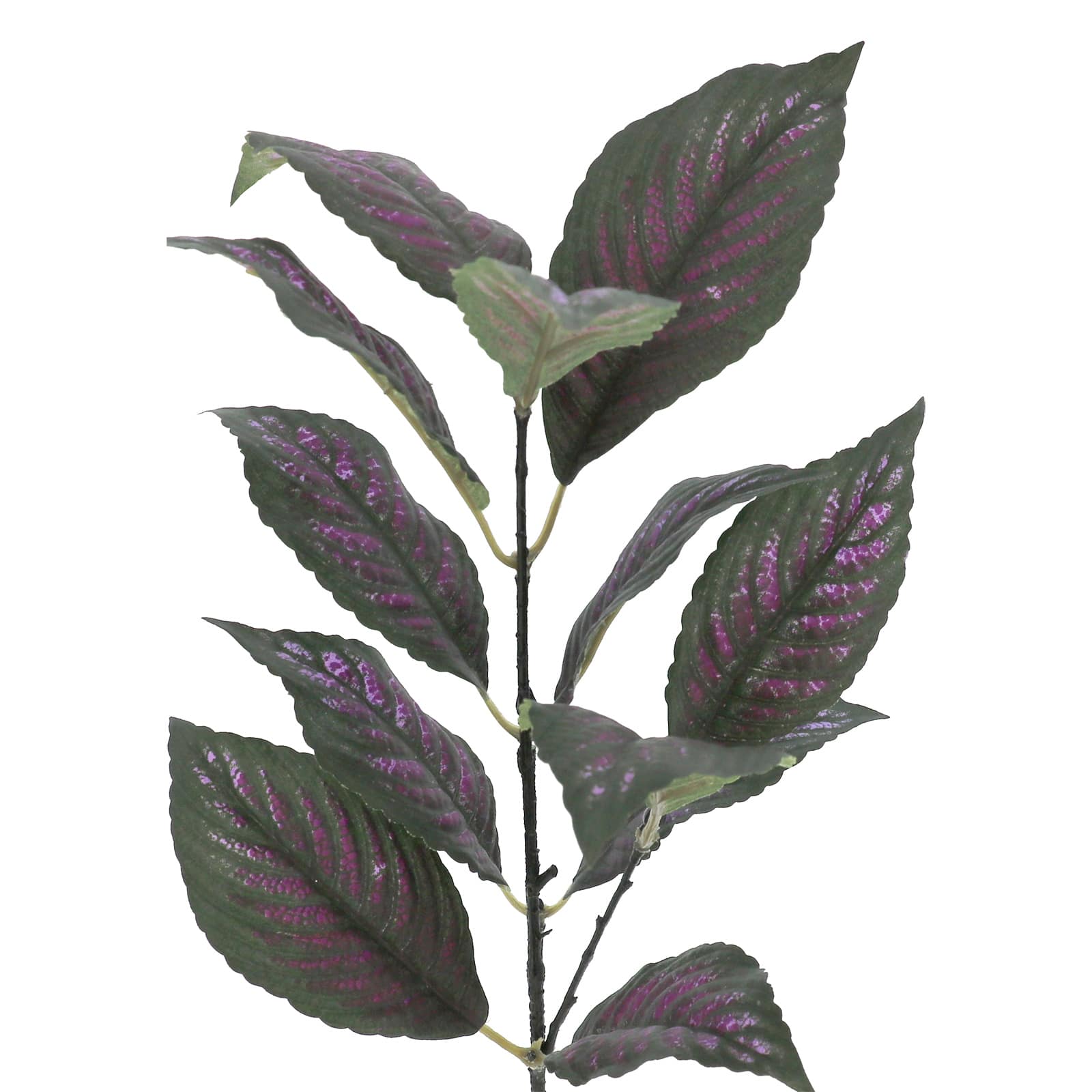 15" Perilepta Dyeriana Leaf Pick by Ashland®