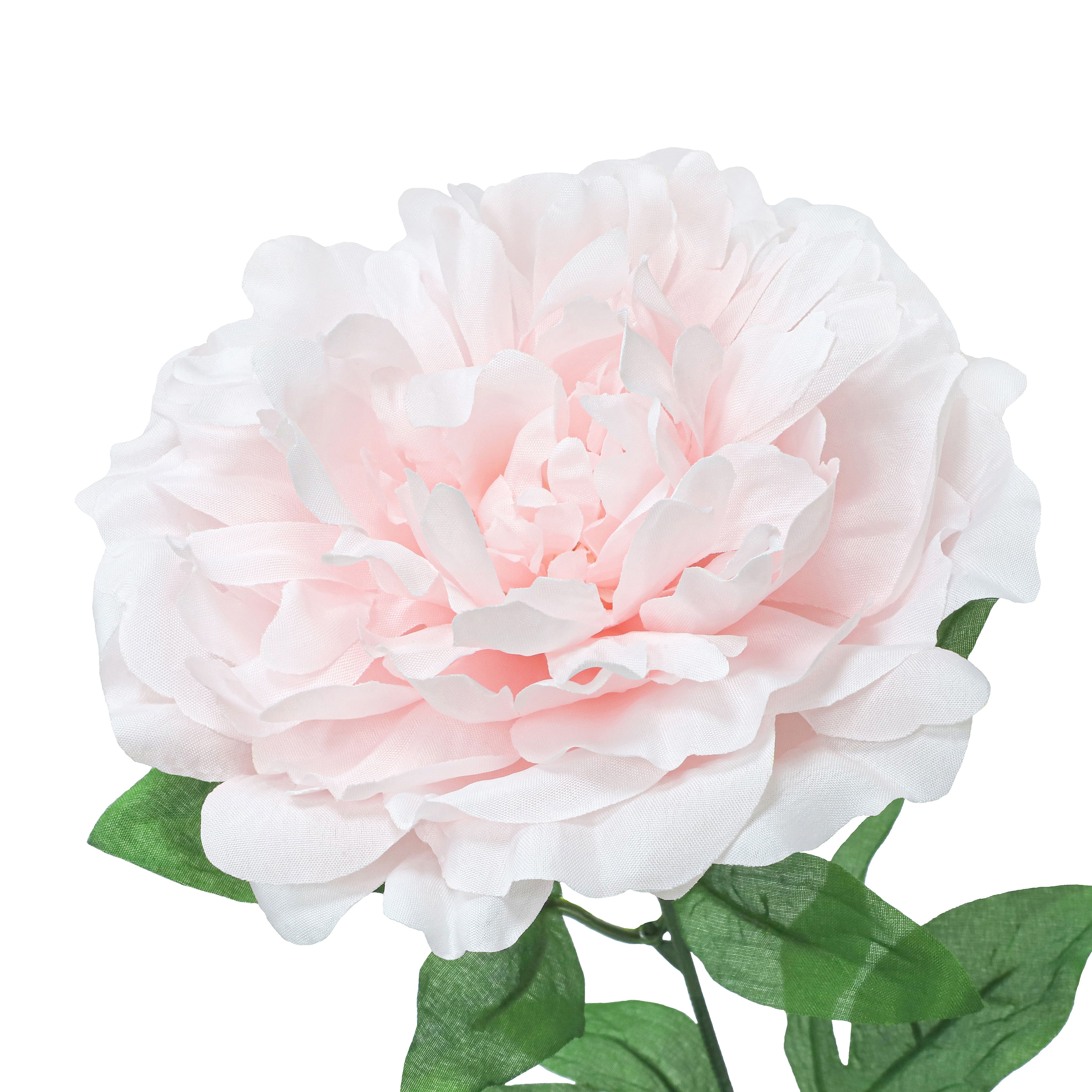 21&#x22; Light Pink Peony Bush by Ashland&#xAE;