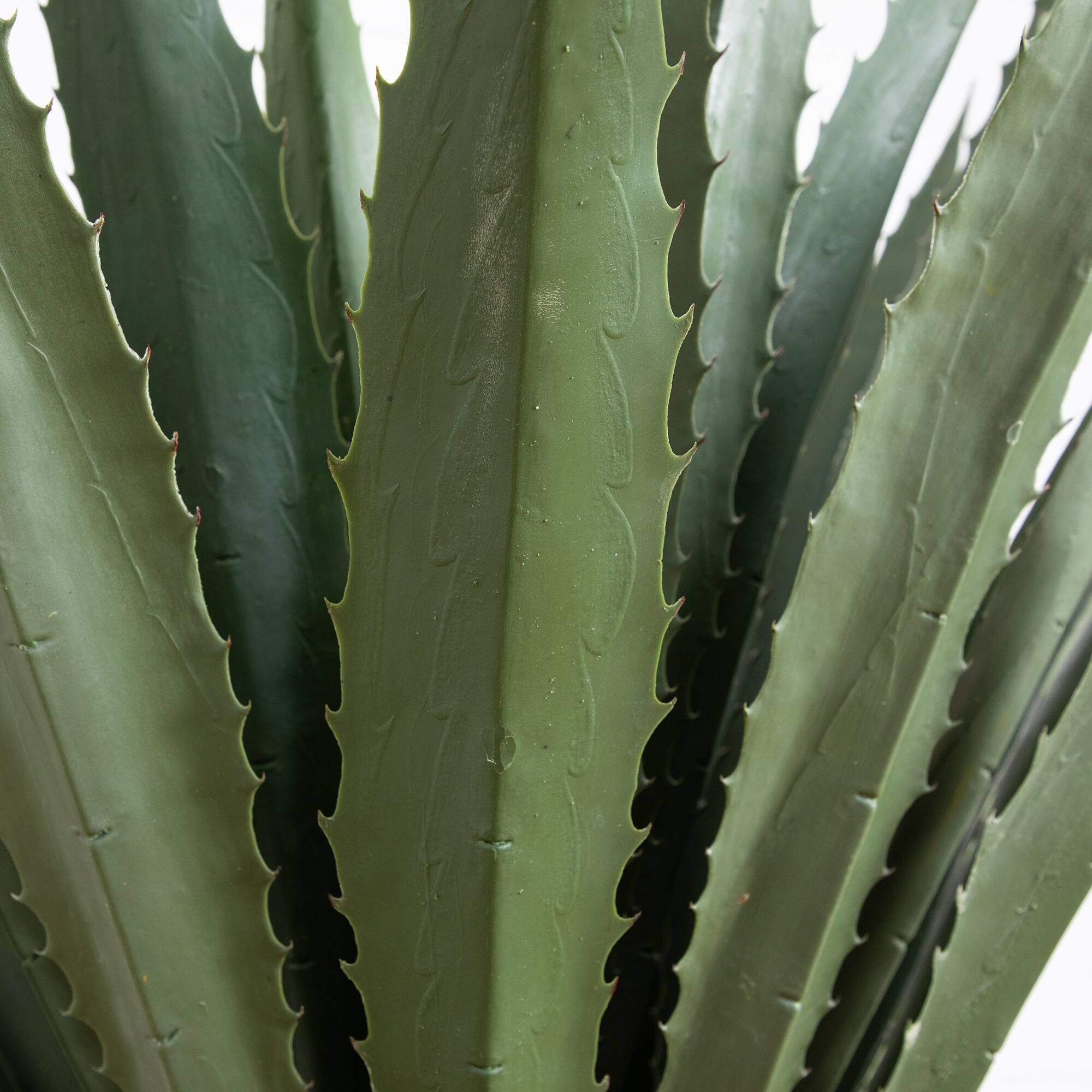 6ft. Potted UV Resistant Giant Agave Plant