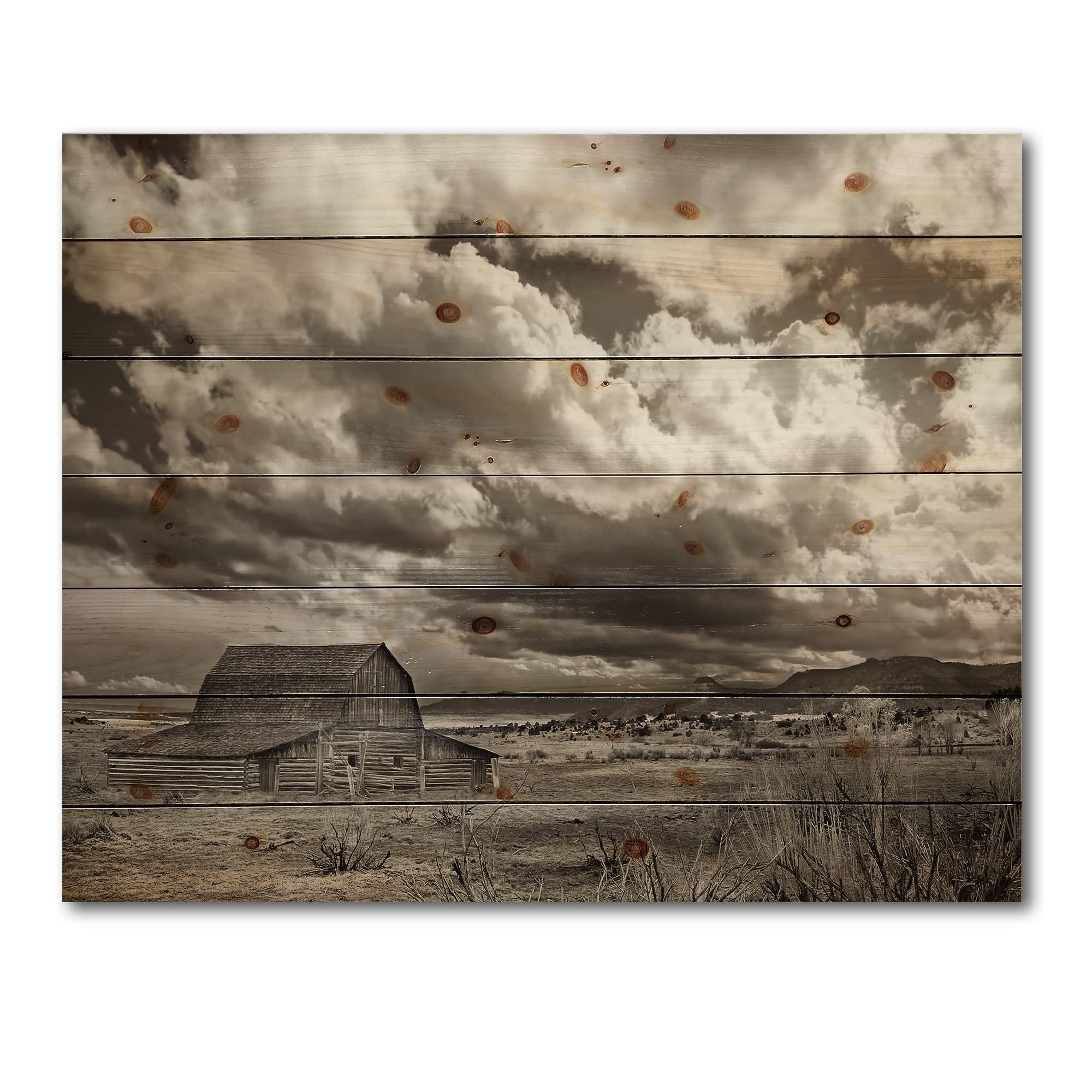 Designart - After The Rain On The Prairie - Traditional Print on Natural Pine Wood