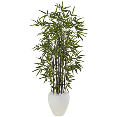 5ft. Black Bamboo Tree in White Oval Planter | Michaels