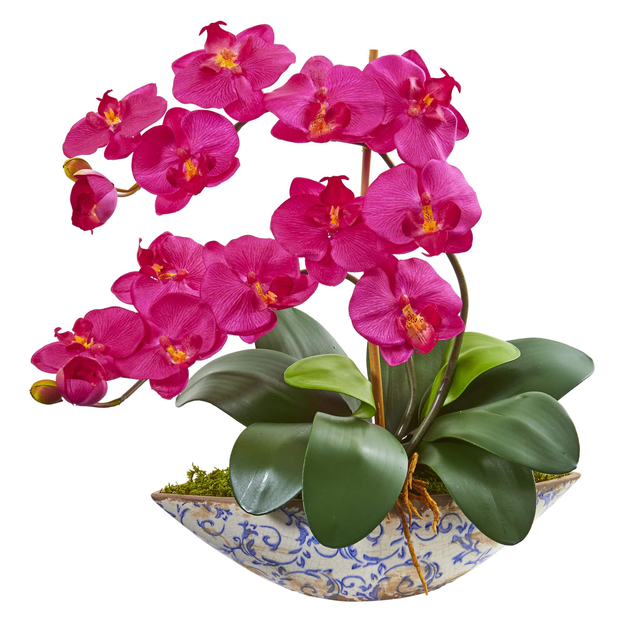 16" Moth Orchid Arrangement in Blue Floral Vase