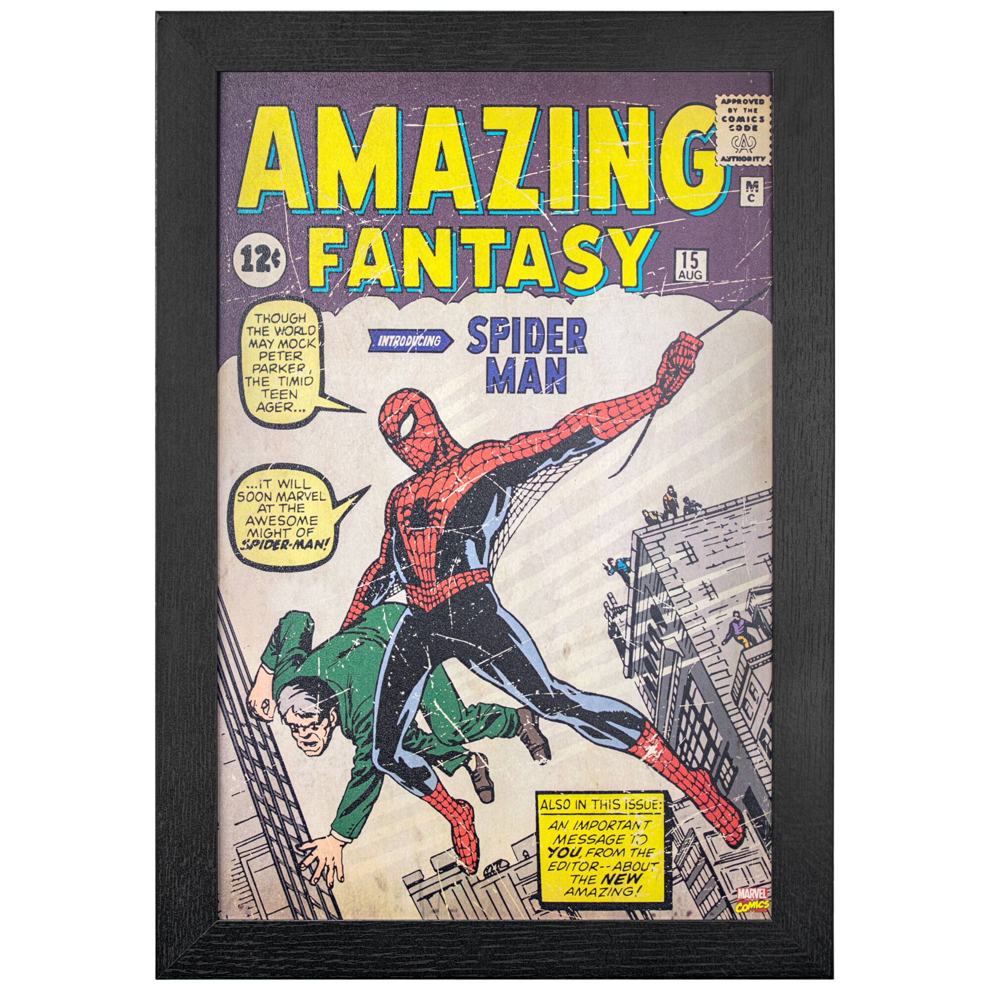 Marvel Comics Amazing Spider Man Wall D&#xE9;cor