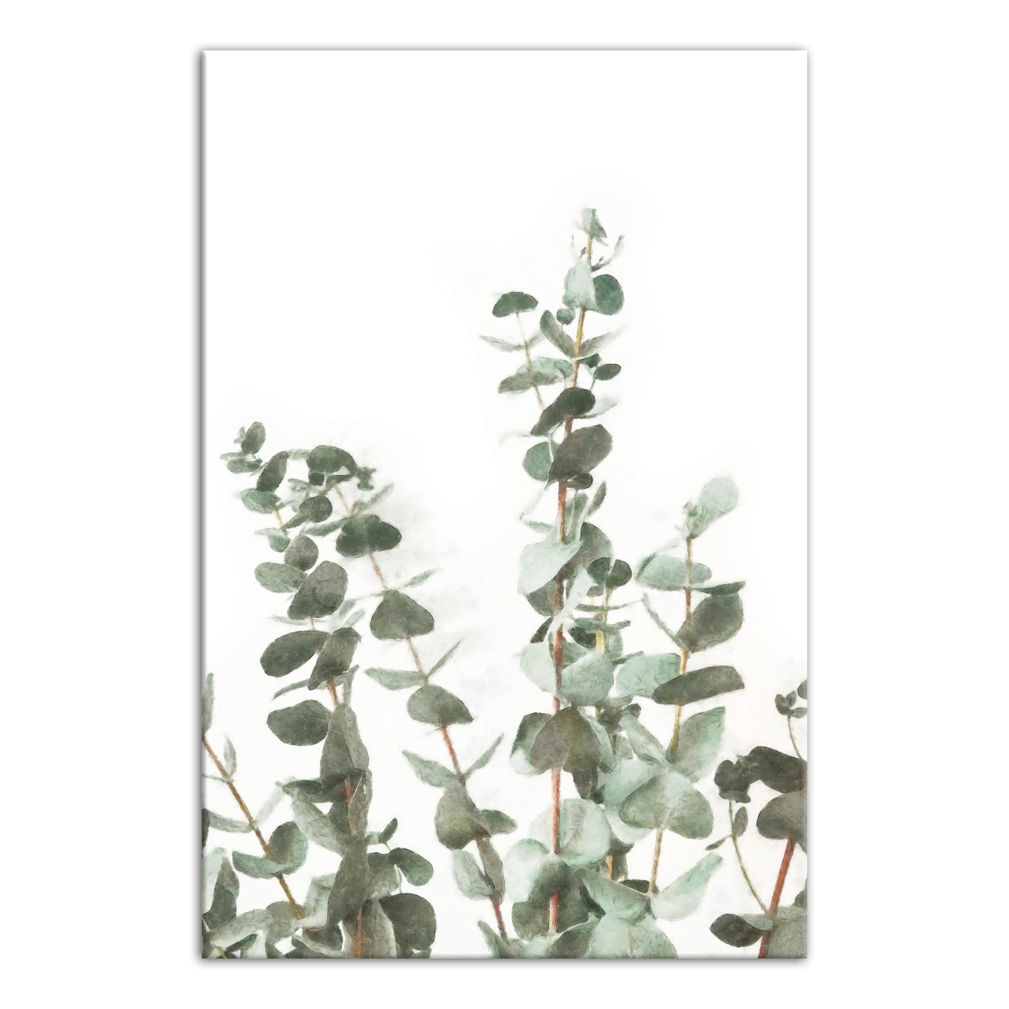 Watercolor Eucalyptus 20&#x22; x 30&#x22; Canvas Wall Art