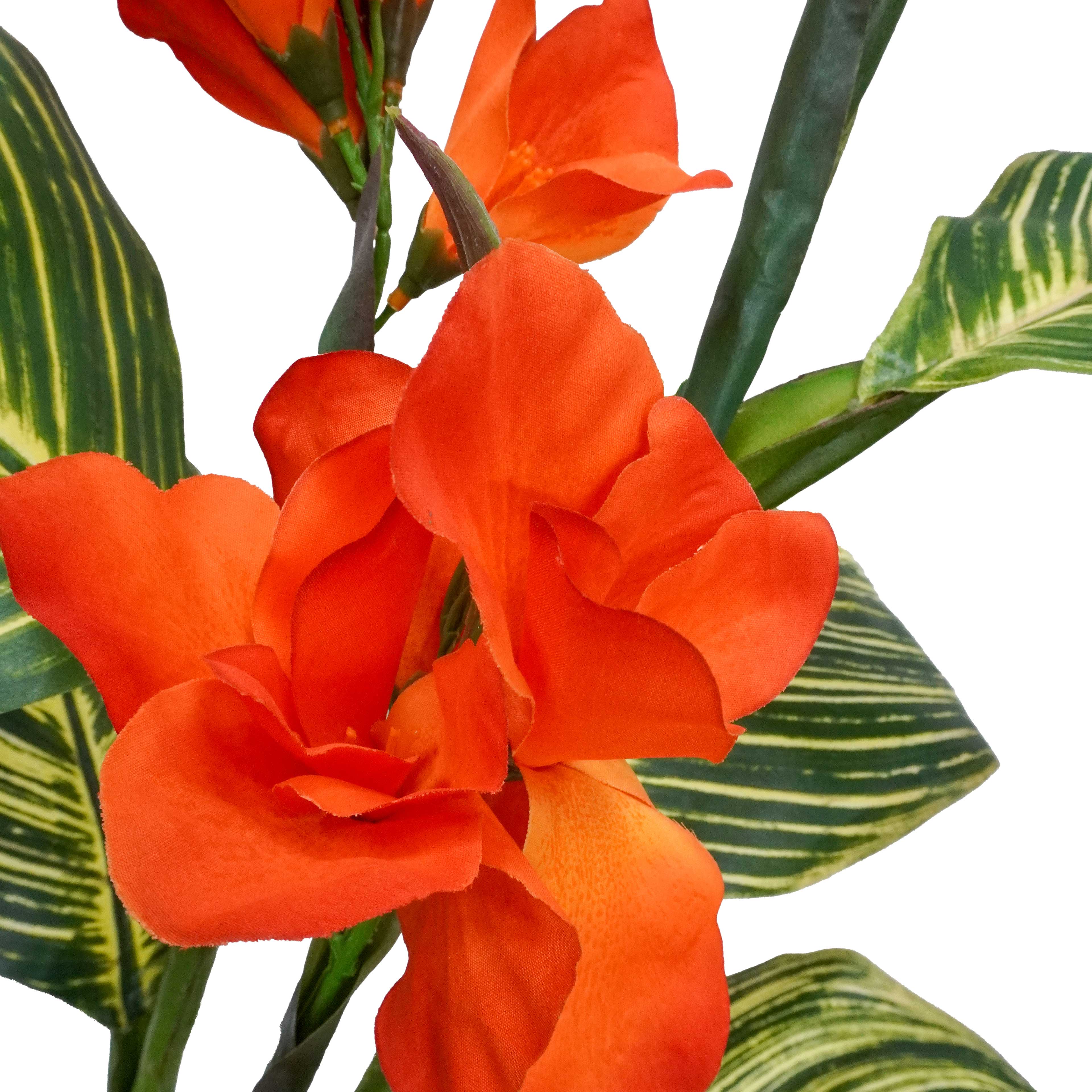 3.5ft. Potted Orange Canna Lily Plant by Ashland&#xAE;