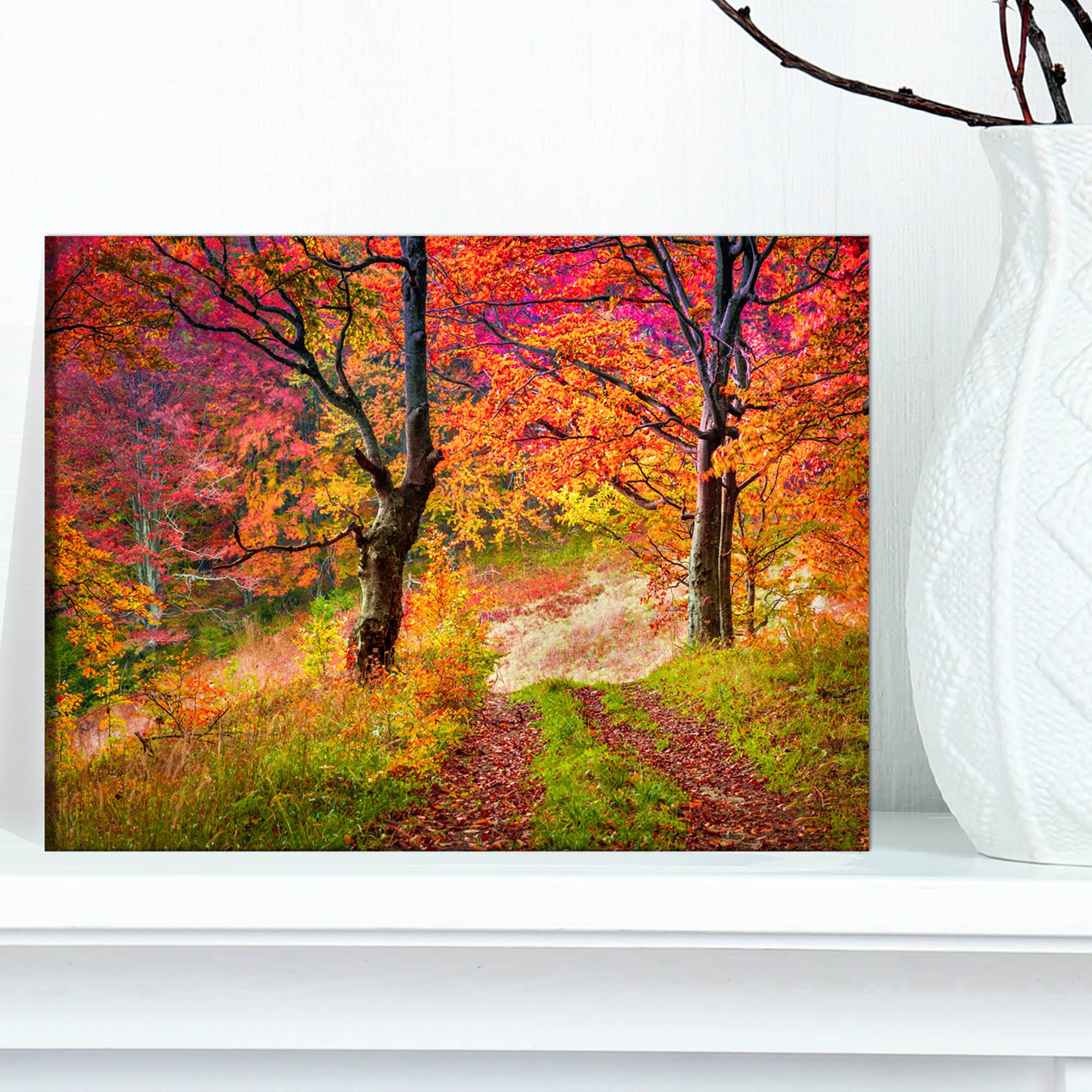 Designart - Bright Colorful Fall Trees in Forest - Large Landscape Canvas Art Print
