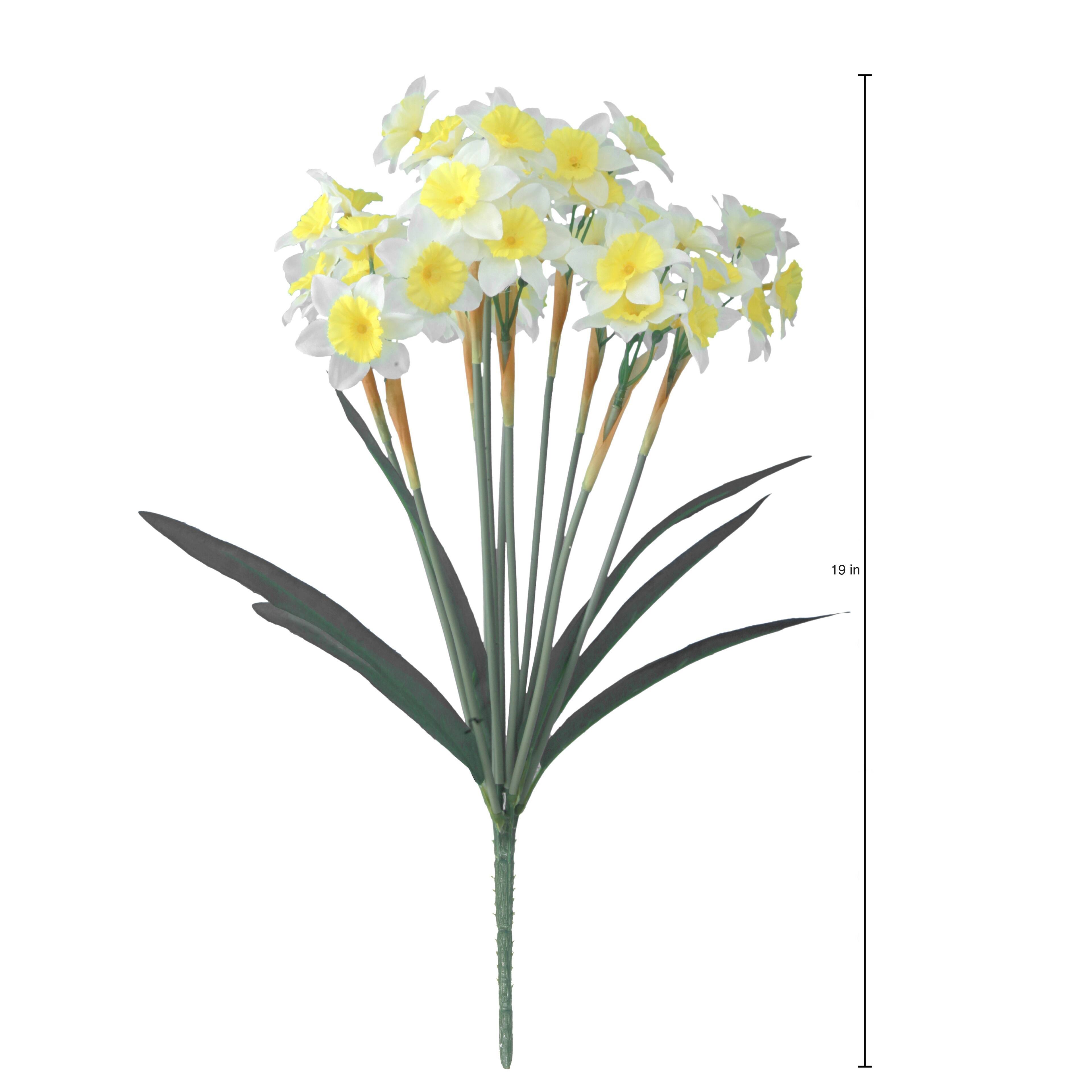 19&#x22; Narcissus Basic Bush by Ashland&#xAE;