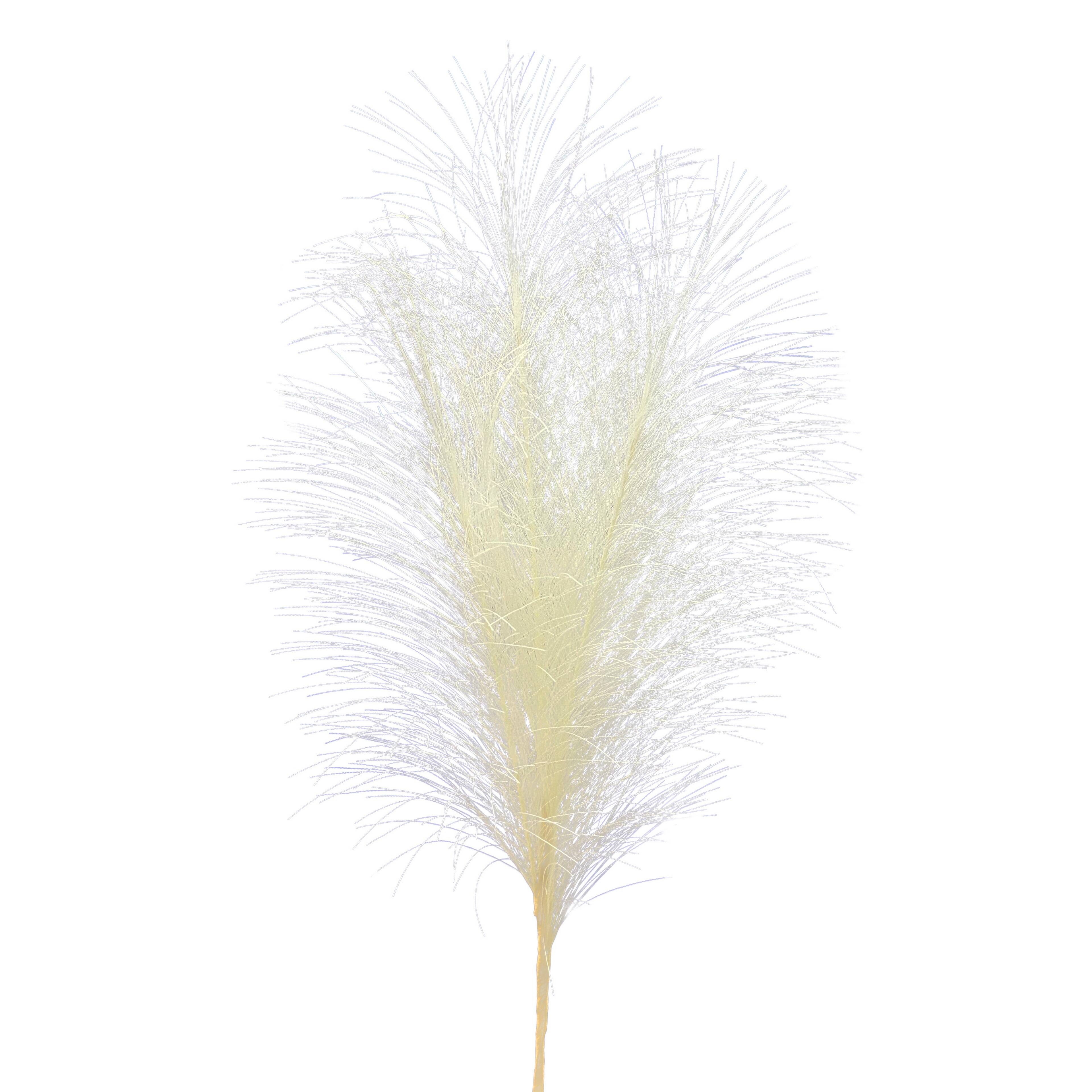 13.5" Pampas Pick by Ashland®
