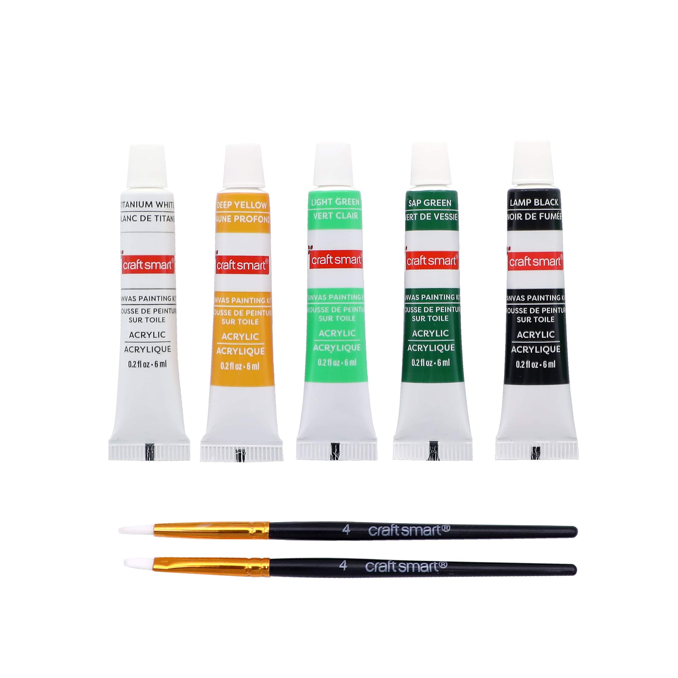 5" x 5" Cat in Web Canvas Painting Kit by Craft Smart®