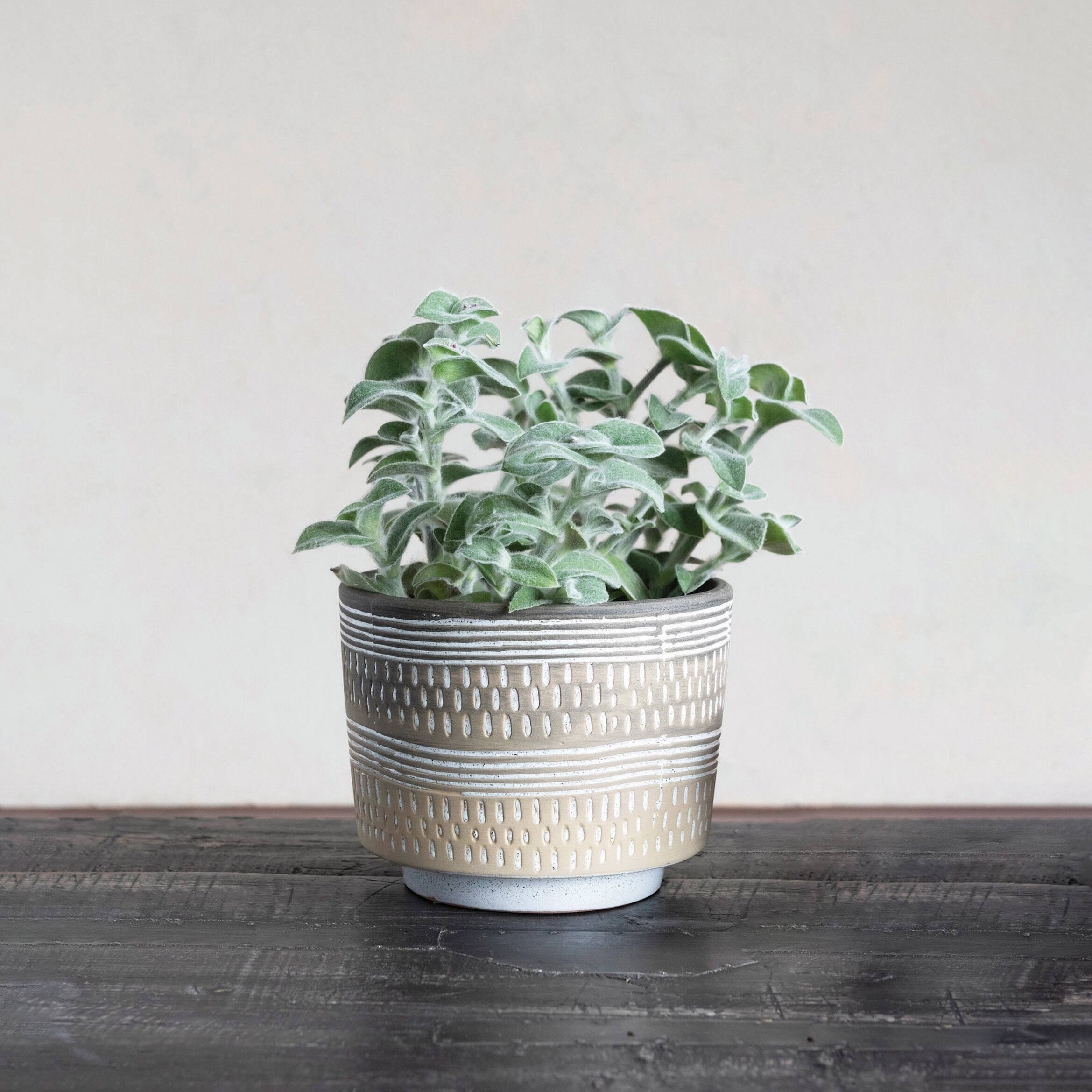 Hello Honey® 7" Debossed Stoneware Planter