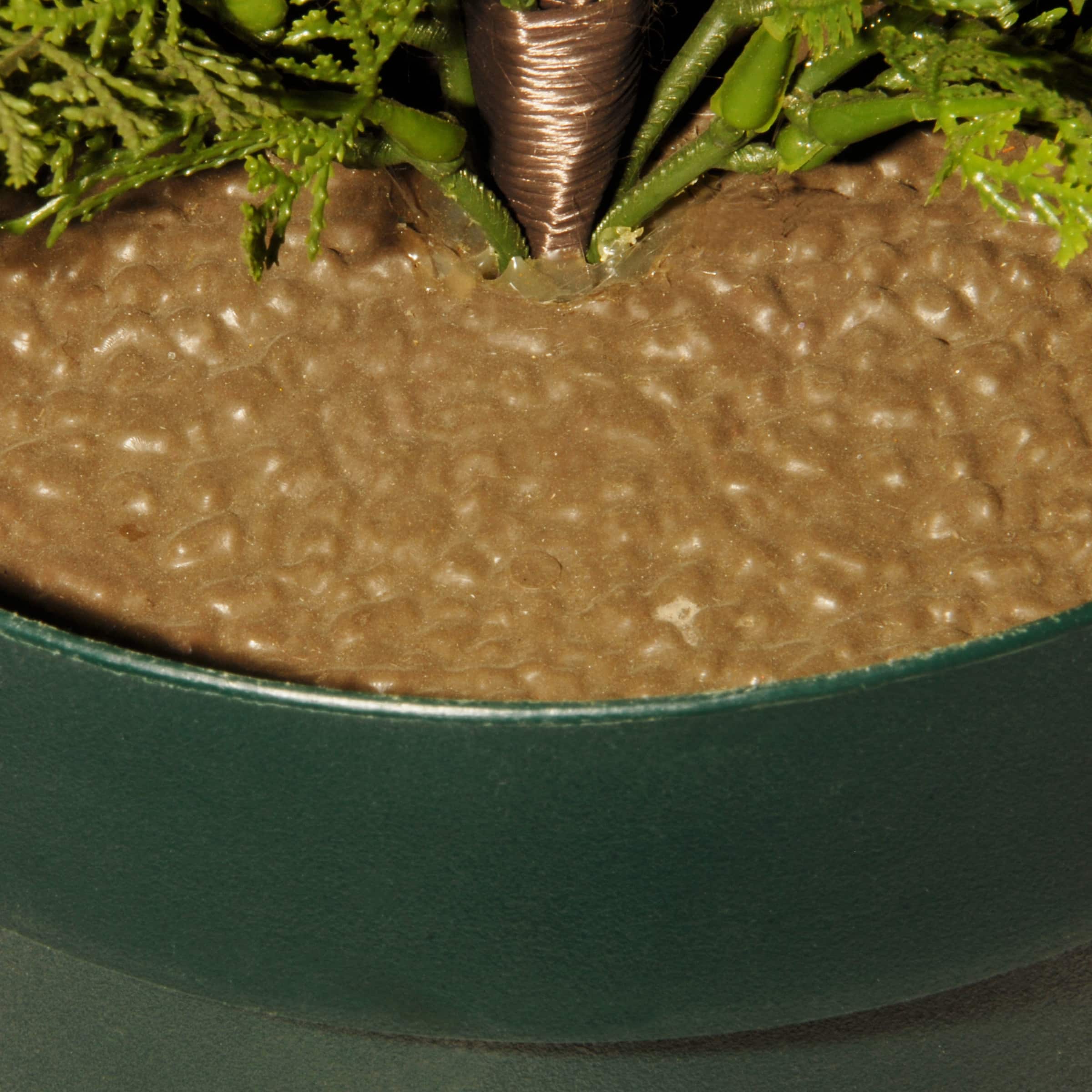 Arborvitae with Green Pot