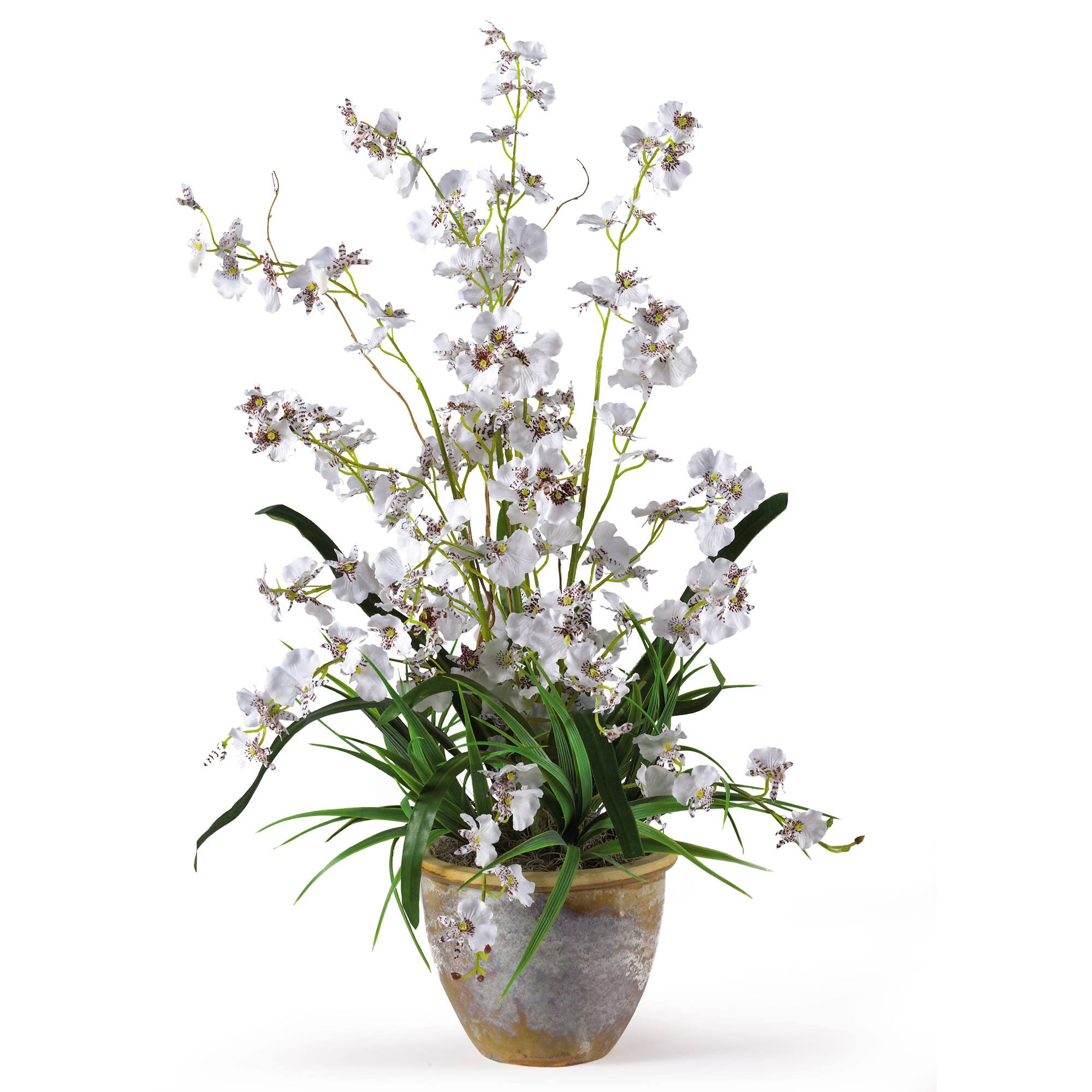 2ft. White Dancing Lady Orchid Arrangement in Ceramic Vase Michaels