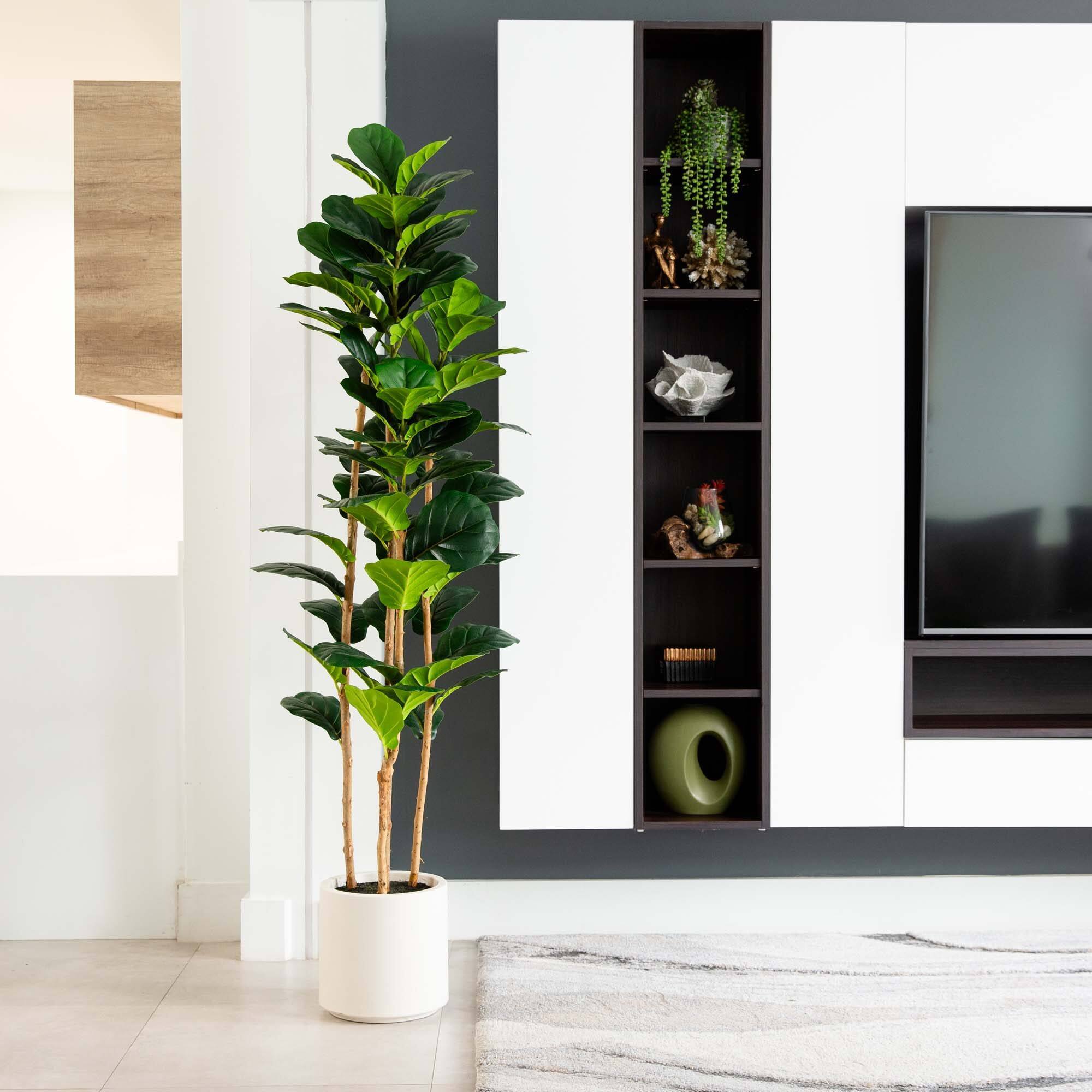 6ft. Fiddle Leaf Tree in Decorative White Planter