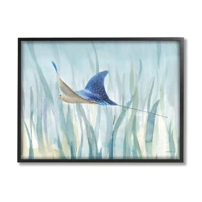 Stupell Industries Stingray Aquatic Animal Ocean Blue Spotted Sea ...