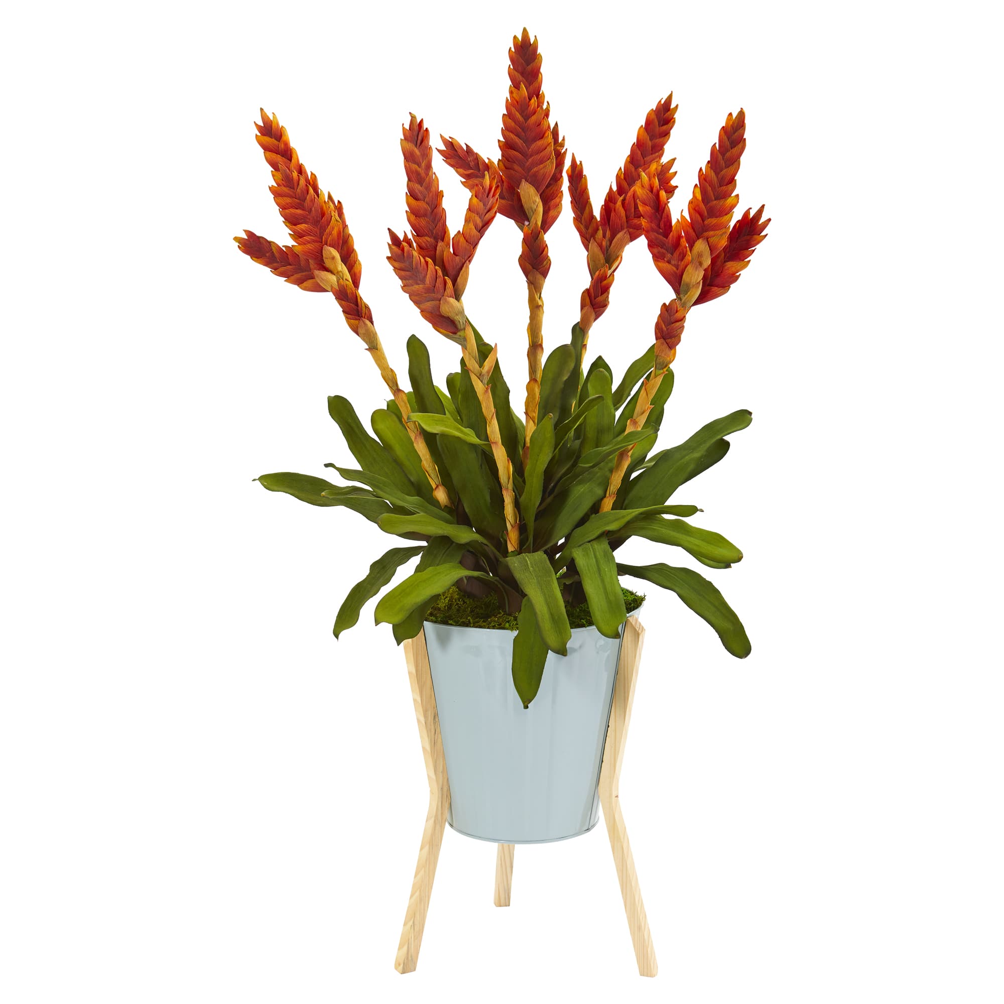 3ft. Tropical Bromeliad Plant in Green Planter with Stand