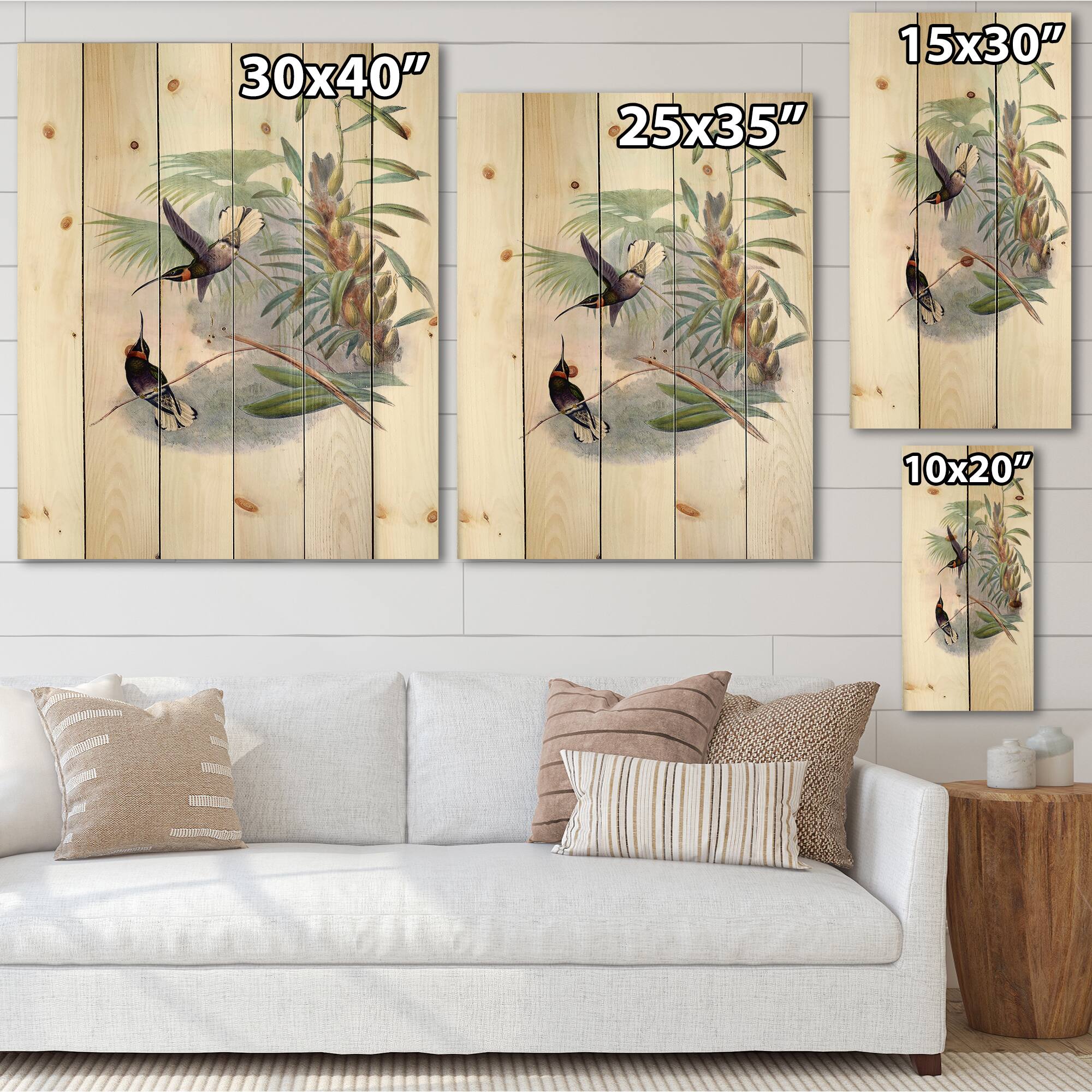 Designart - Vintage Hummingbird On A Branch - Traditional Print on Natural Pine Wood