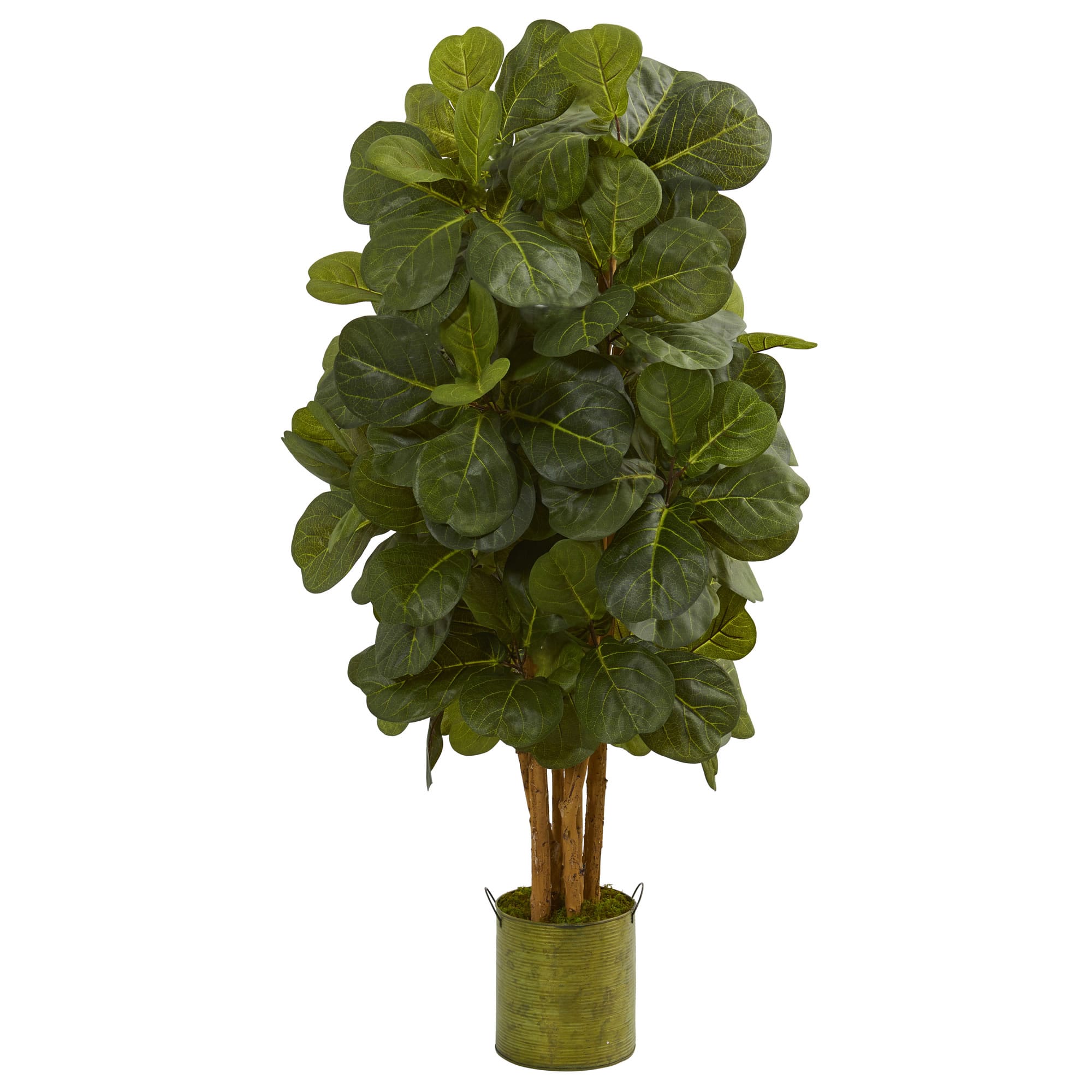 4.5ft. Fiddle Leaf Fig Tree in Green Tin Planter