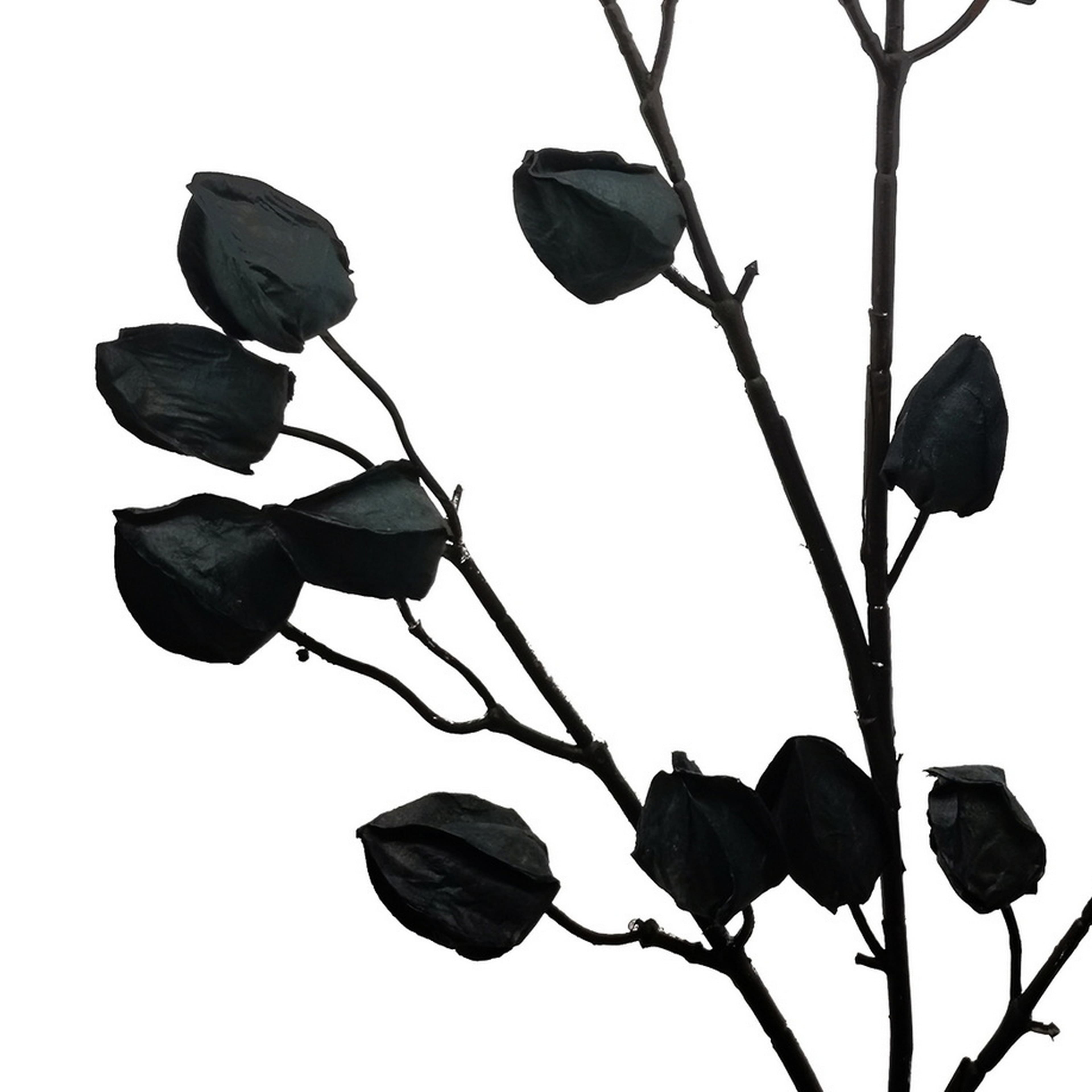 35&#x22; Black Lantern Berry Stem by Ashland&#xAE;