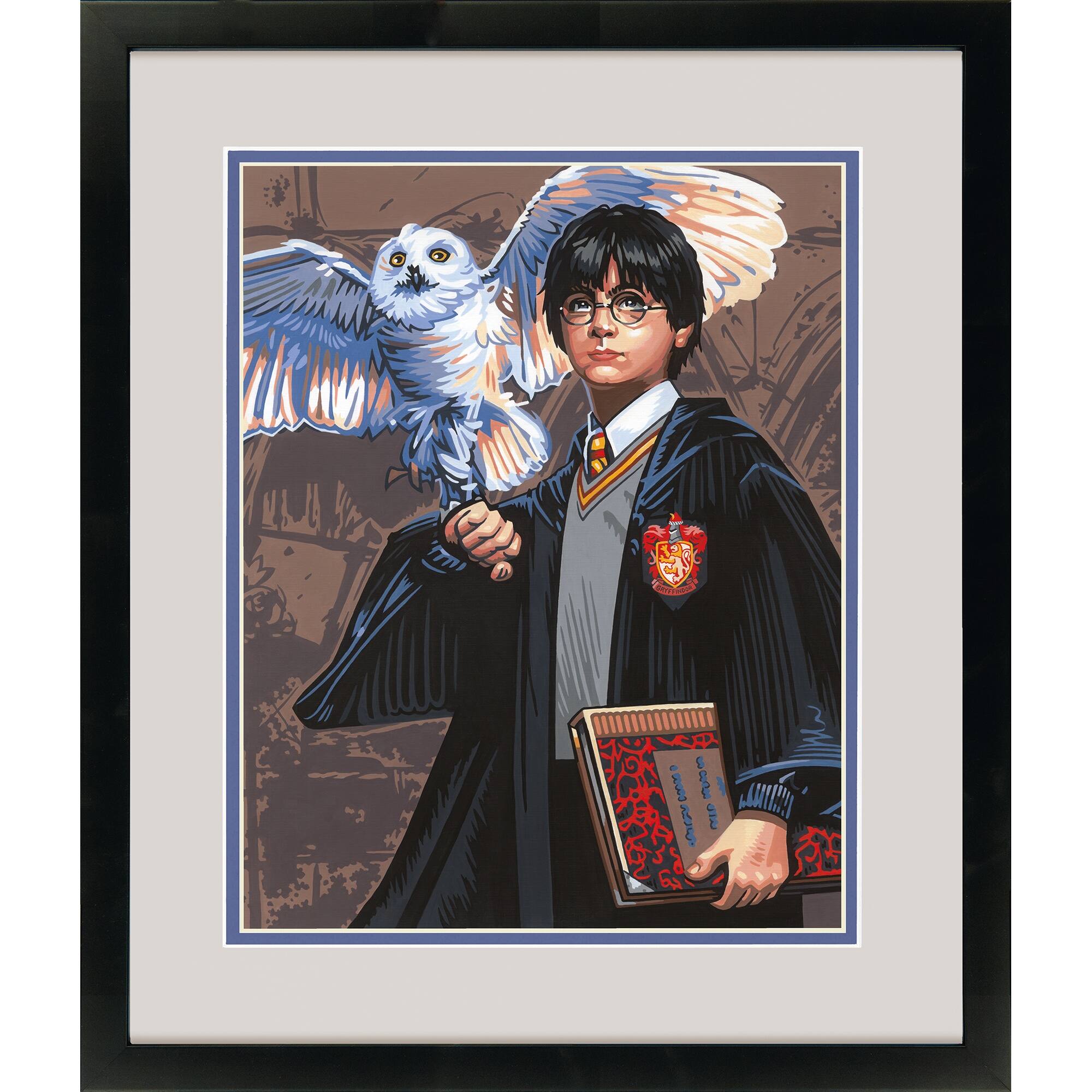 PaintWorks&#x2122; Harry &#x26; Hedwig Paint by Number Kit