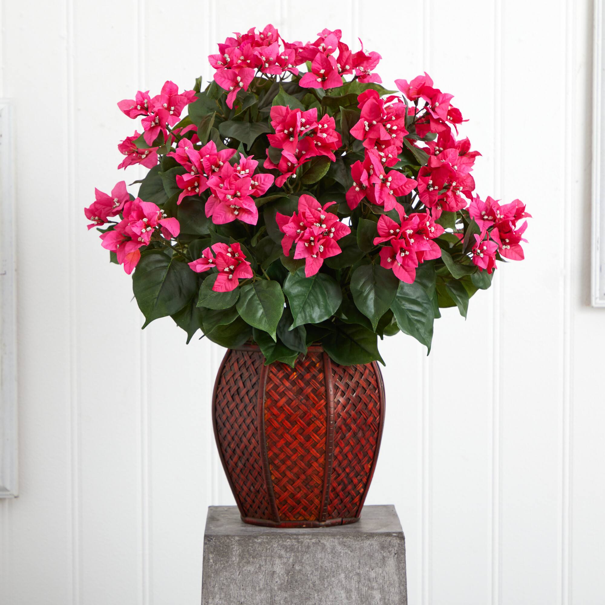 2ft. Pink Bougainvillea with Woven Vase