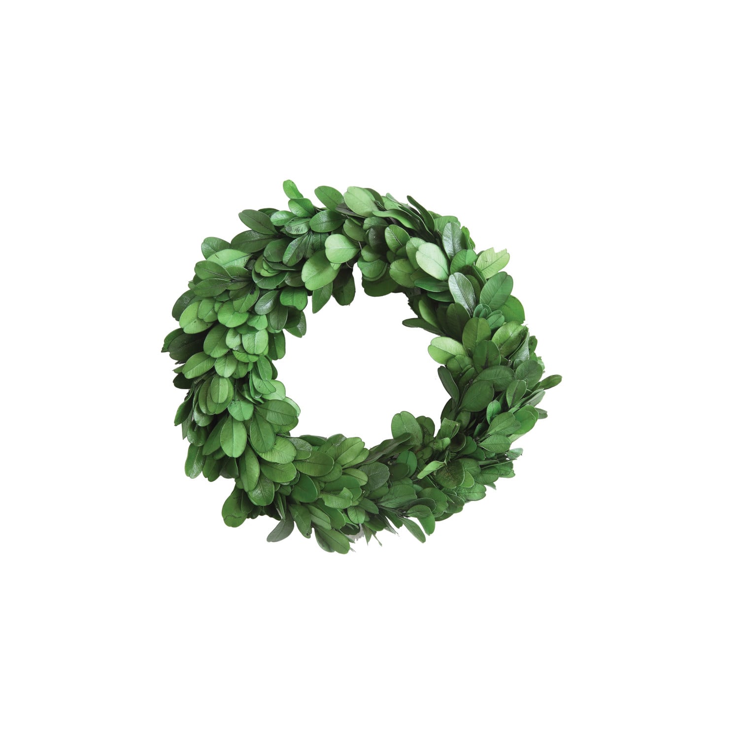 Preserved Genuine Boxwood Wreath