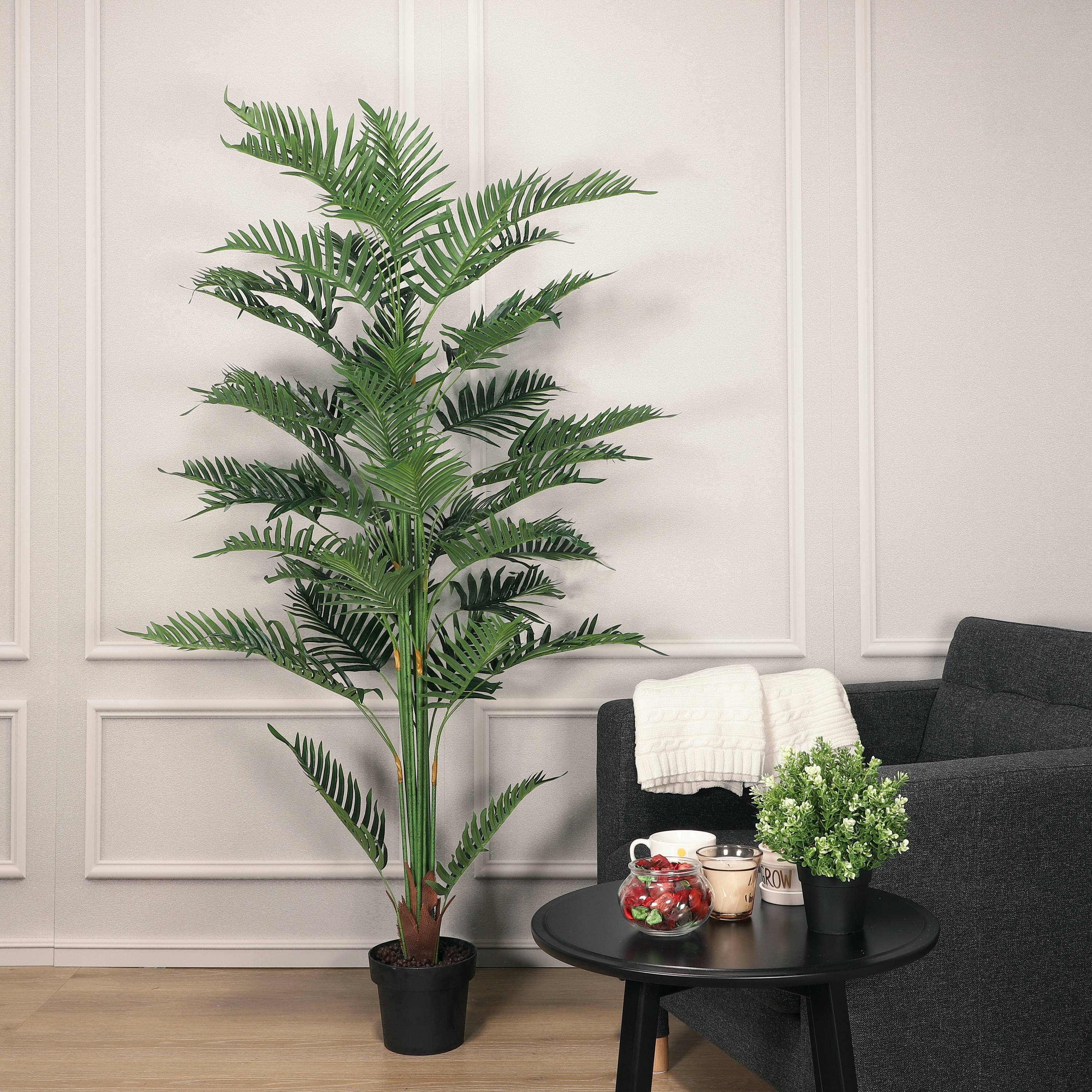 6 Pack: 6.5ft. Potted Areca Palm Tree