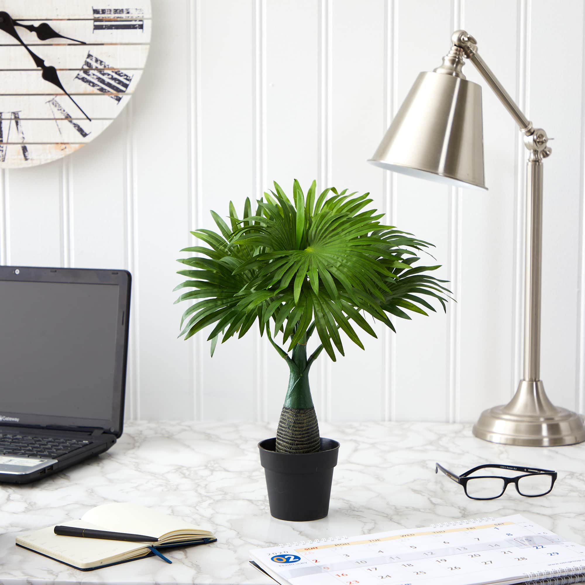 15.5" Potted Mini Fountain Palm Plant