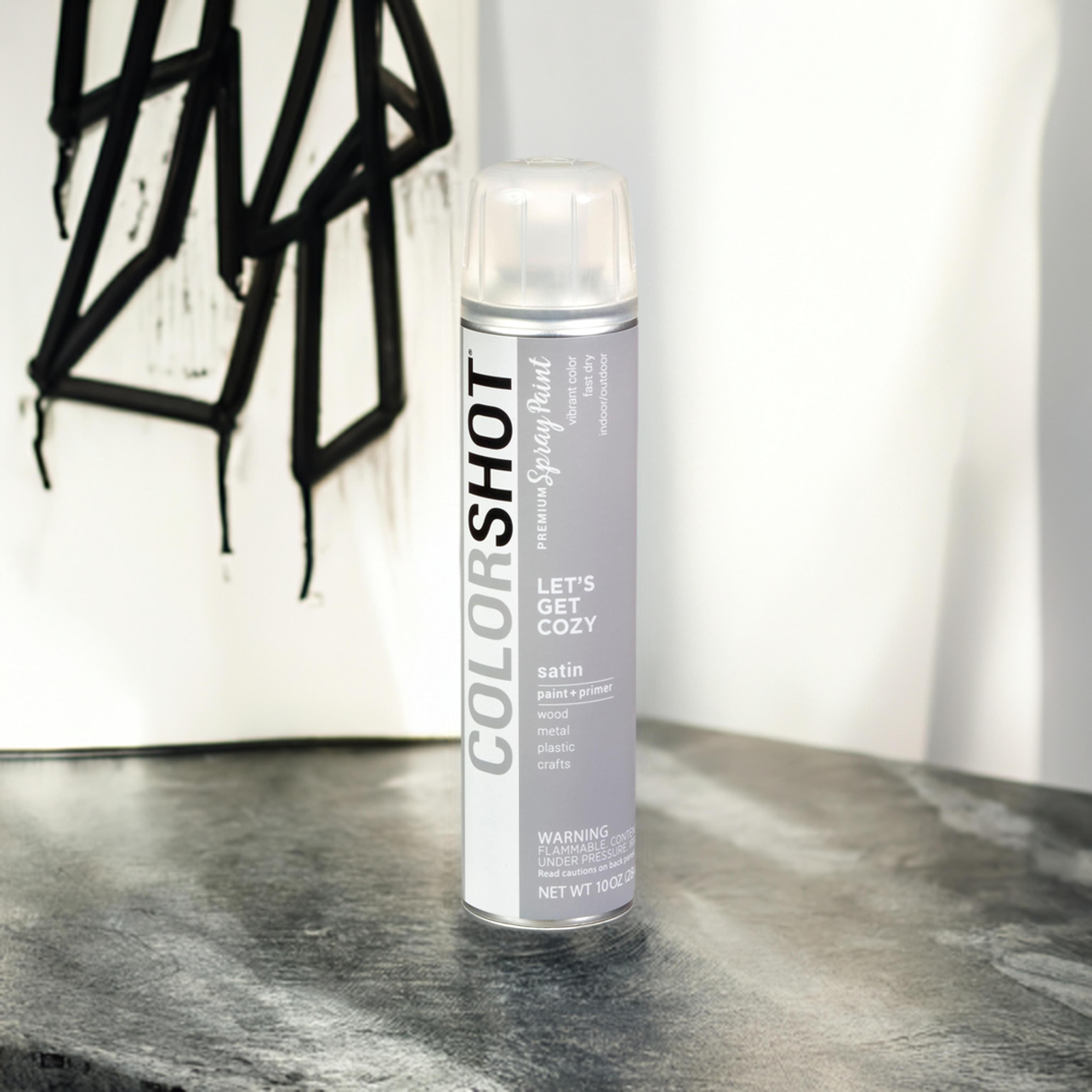 COLORSHOT&#xAE; Premium Satin Spray Paint