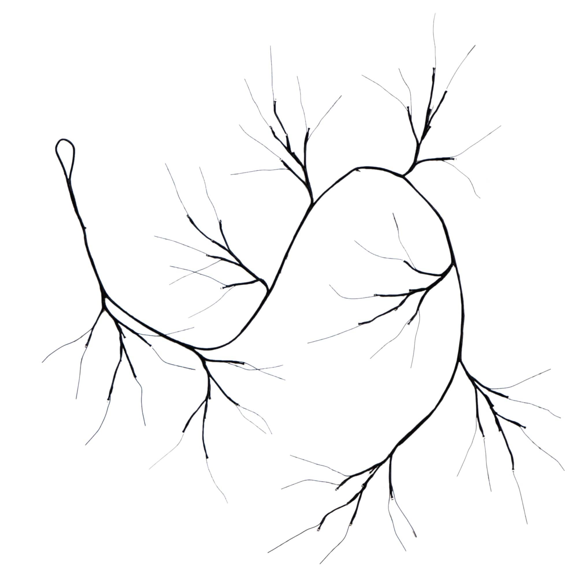 6.5ft. Pre-Lit Artificial Halloween Black Twig Garland with 48 Purple LED Lights