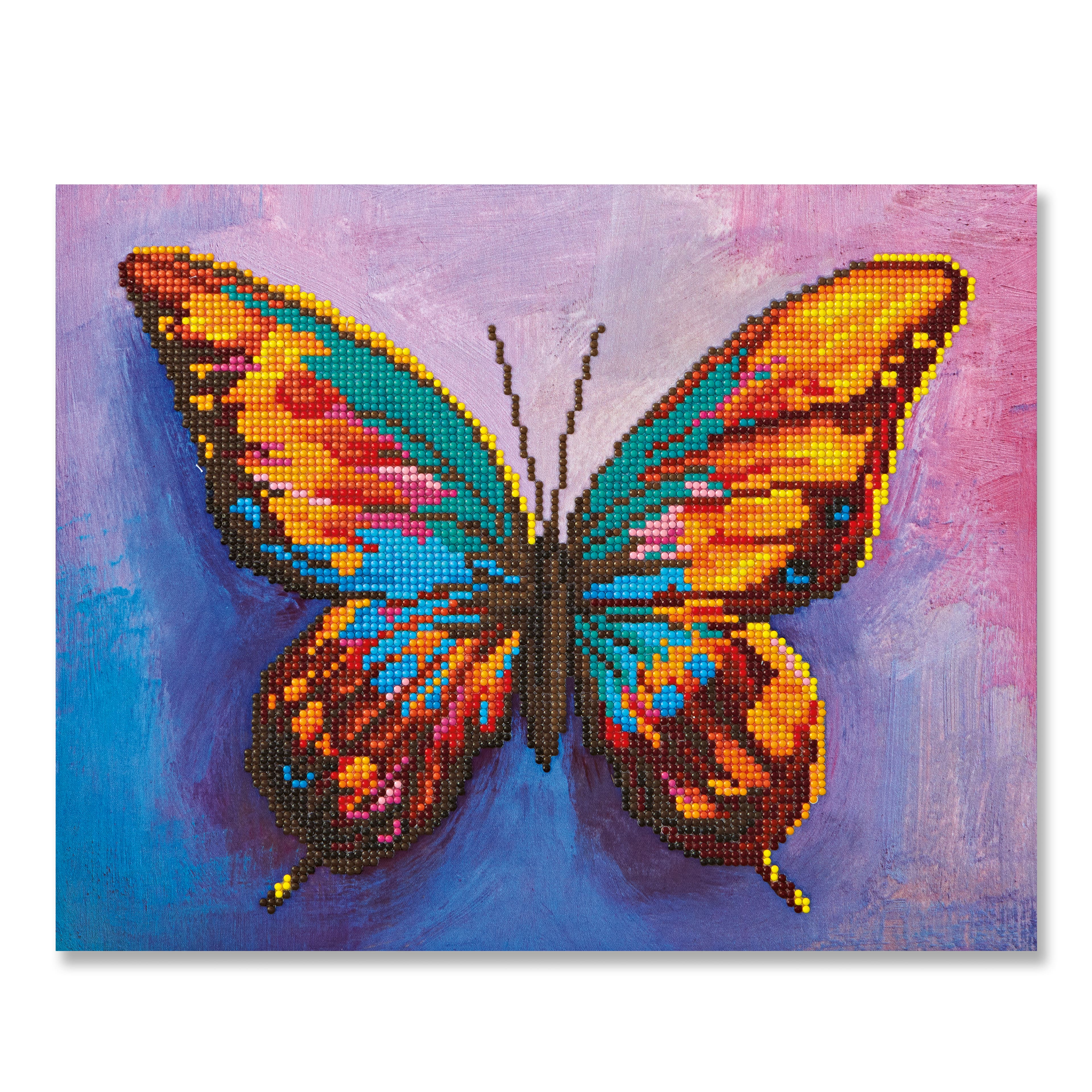 Make Market Butterfly Duo Diamond Art Kit Paint - 11 x 14 in