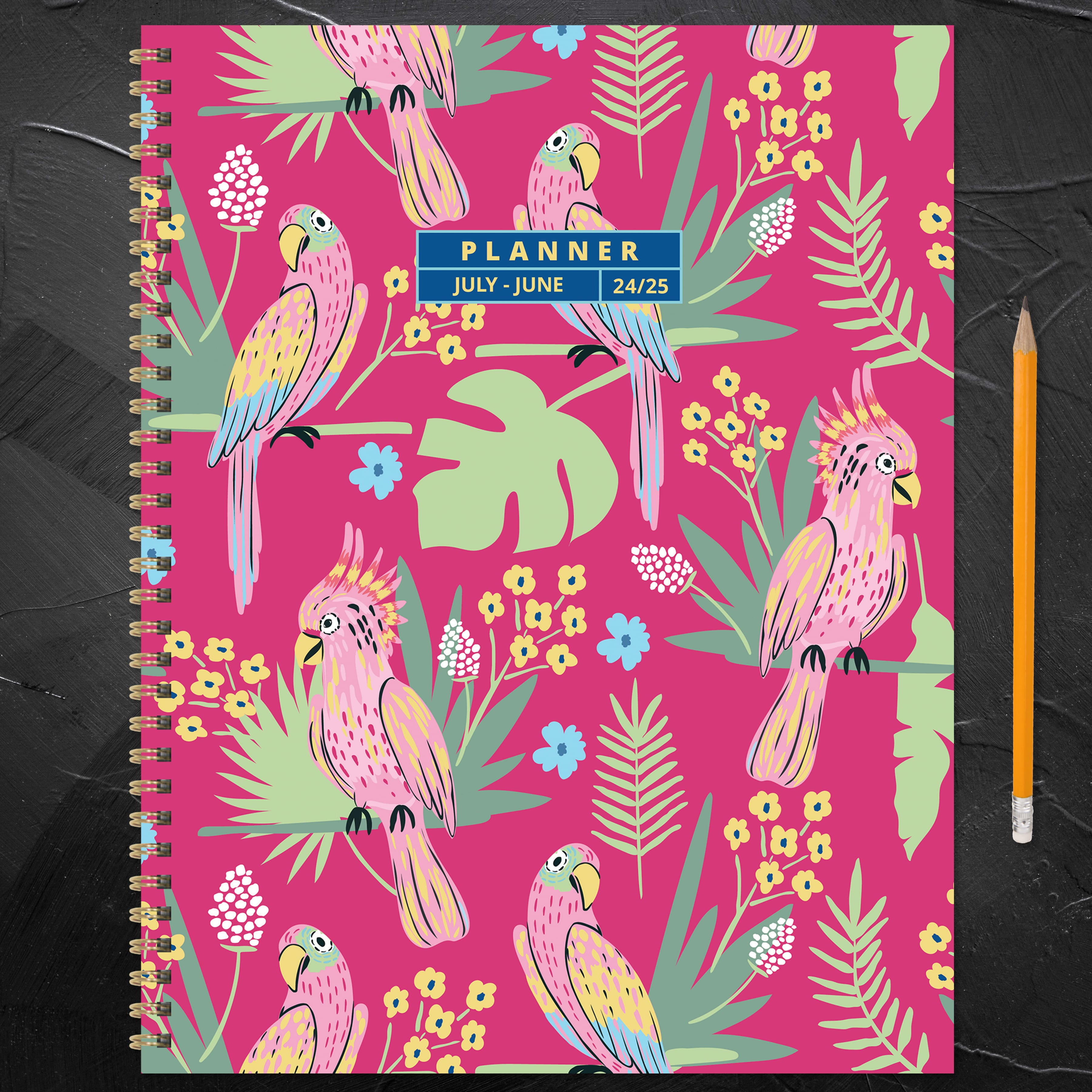 TF Publishing 2024 - 2025 Pretty Parrot Large Spiral Planner