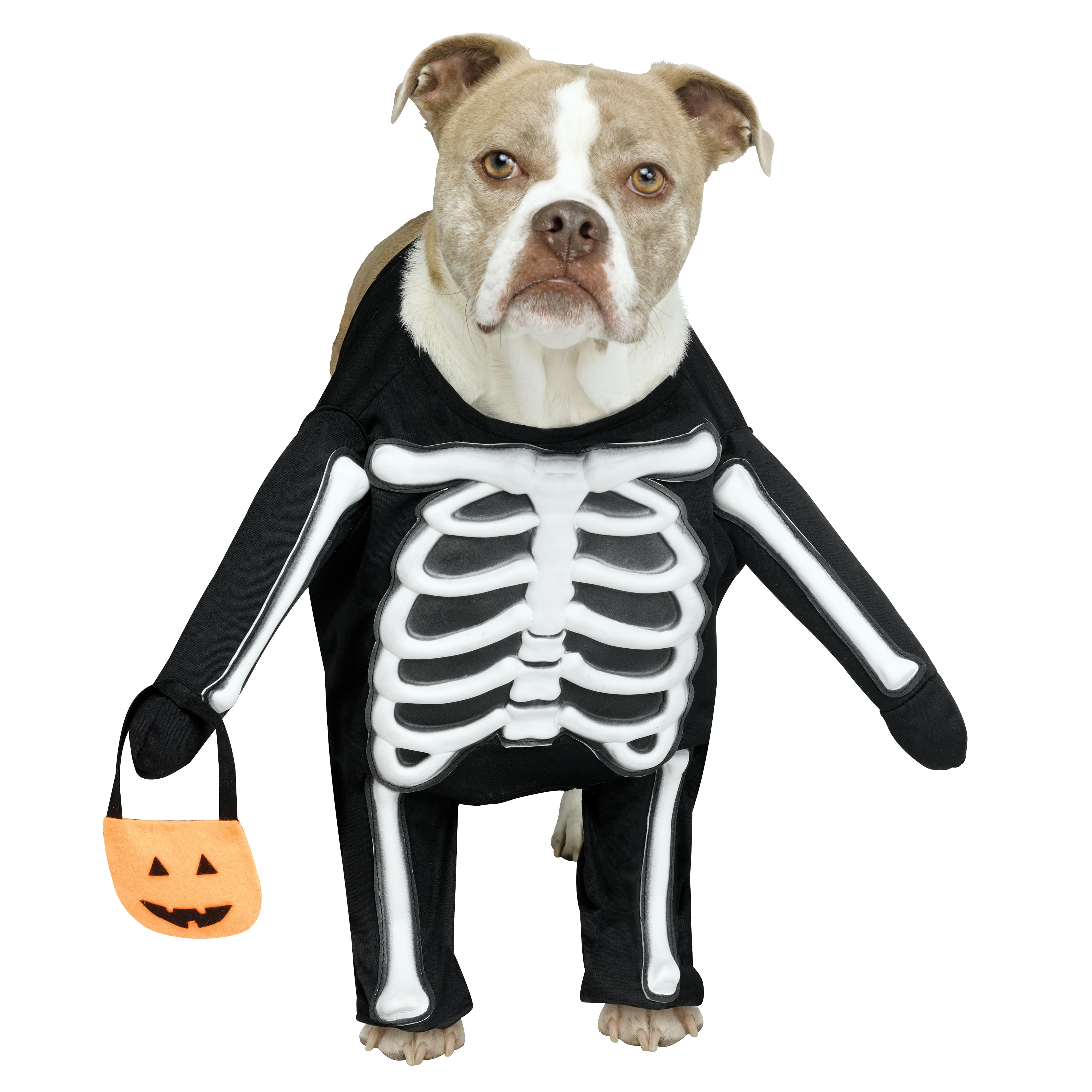 Skeleton Dog Costume by Ashland®