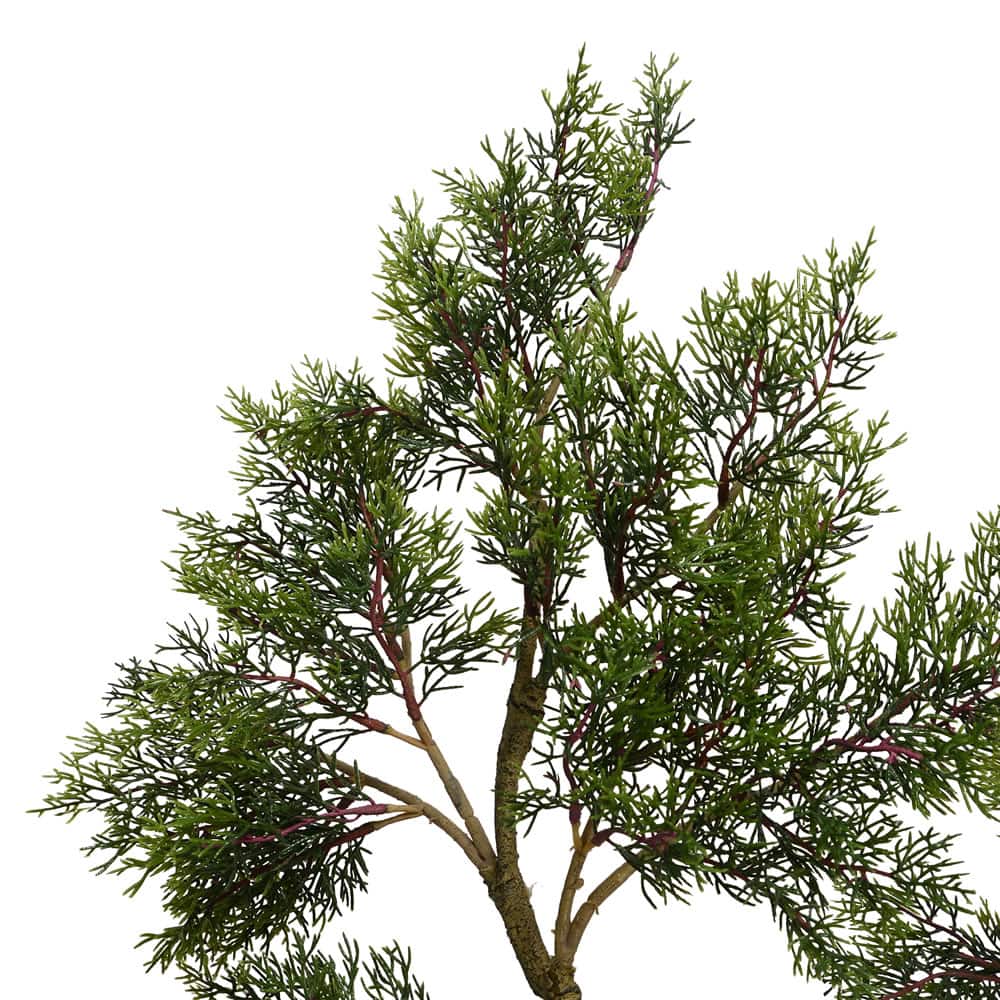 4ft. Potted Cedar Tree