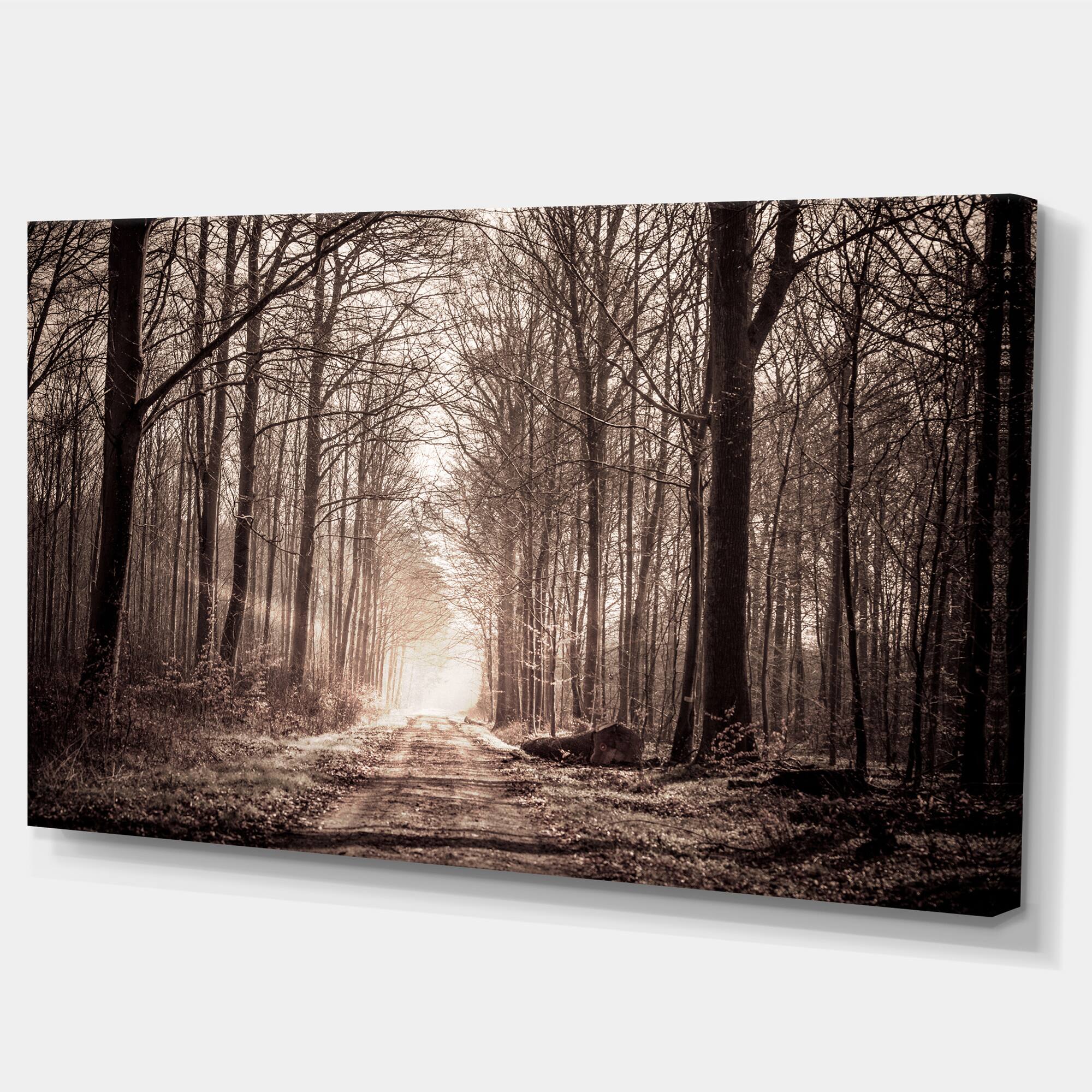 Designart - Forest Trail in Sepia - Landscape Photography Canvas Art Print
