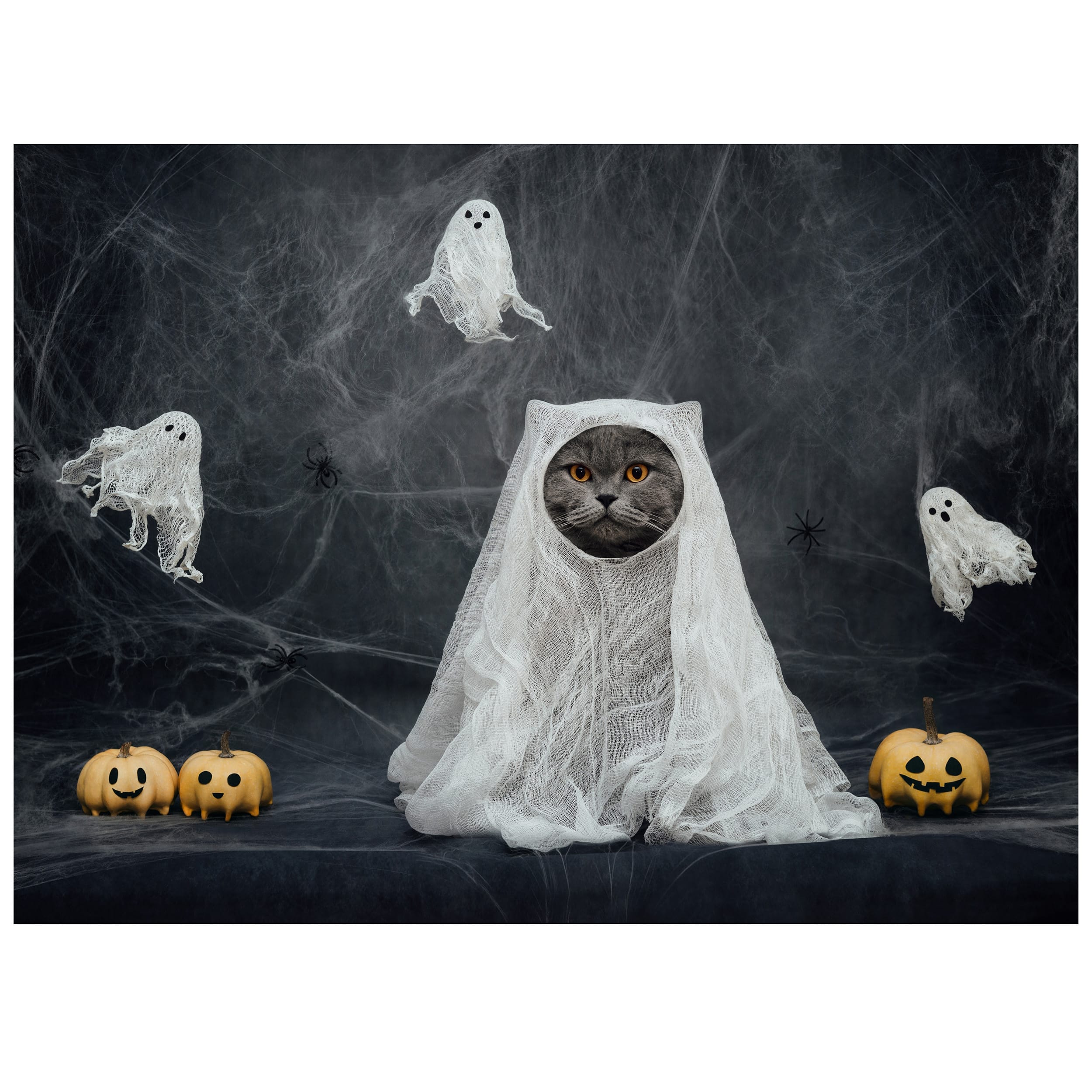 Sparkly Selections 50" x 60" The 10th Life Diamond Painting Kit, Round Diamonds 