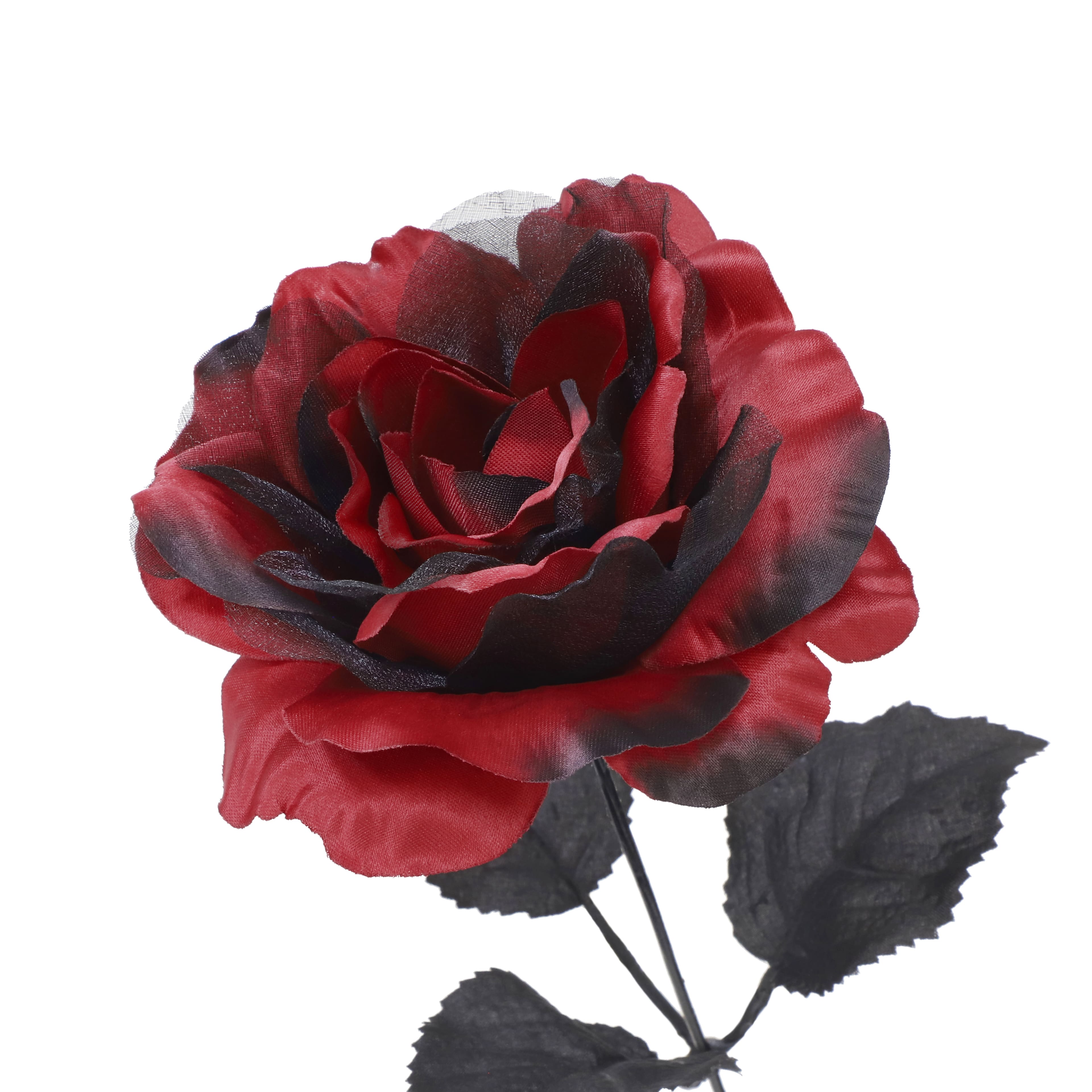 17.5&#x22; Red &#x26; Sheer Black Rose Bush by Ashland&#xAE;