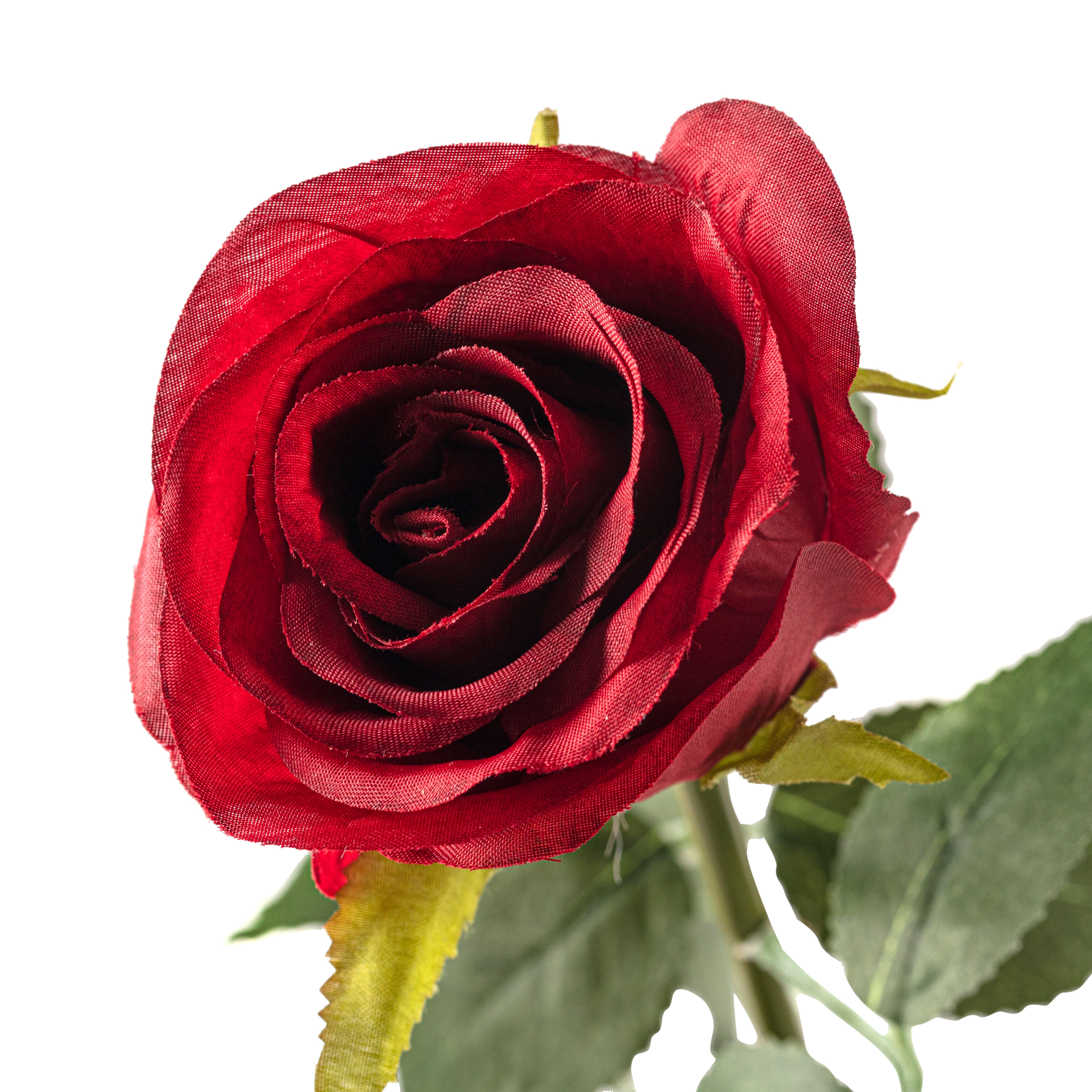 12 Pack: Red Dutch Rose Stem by Ashland&#xAE;