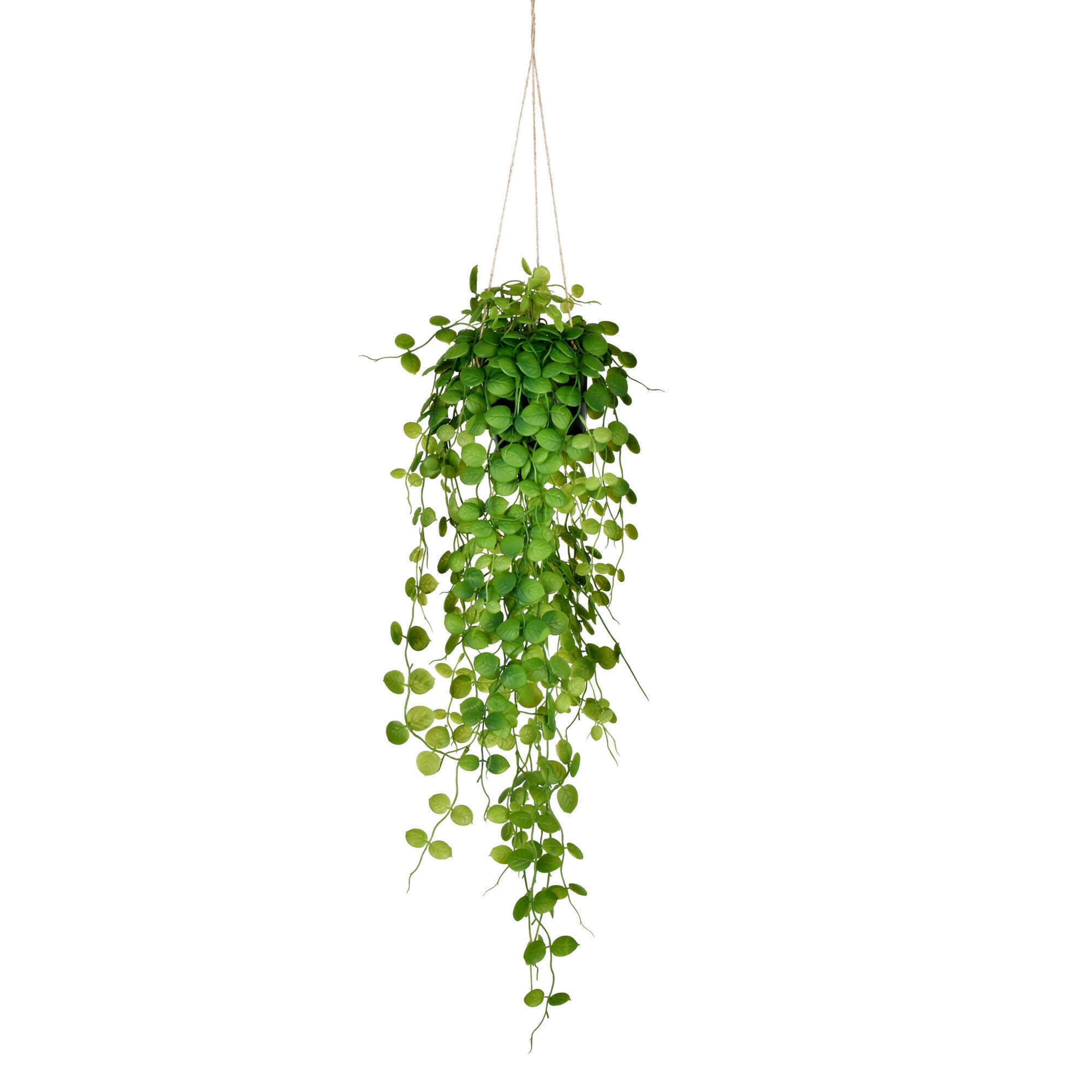 2.5ft. Green Mini Leaf Ivy in Hanging Pot