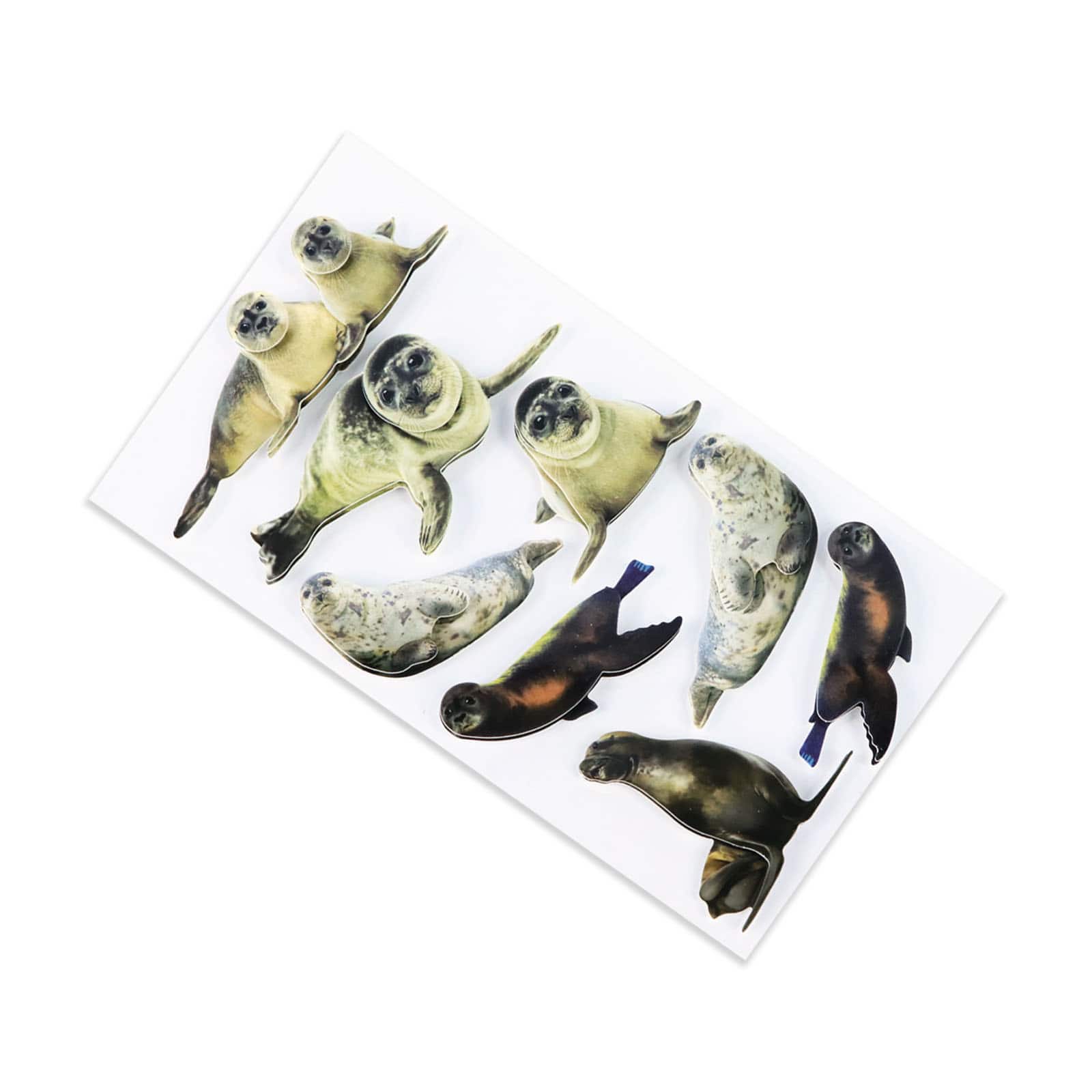 12 Pack: Seal Stickers by Recollections™