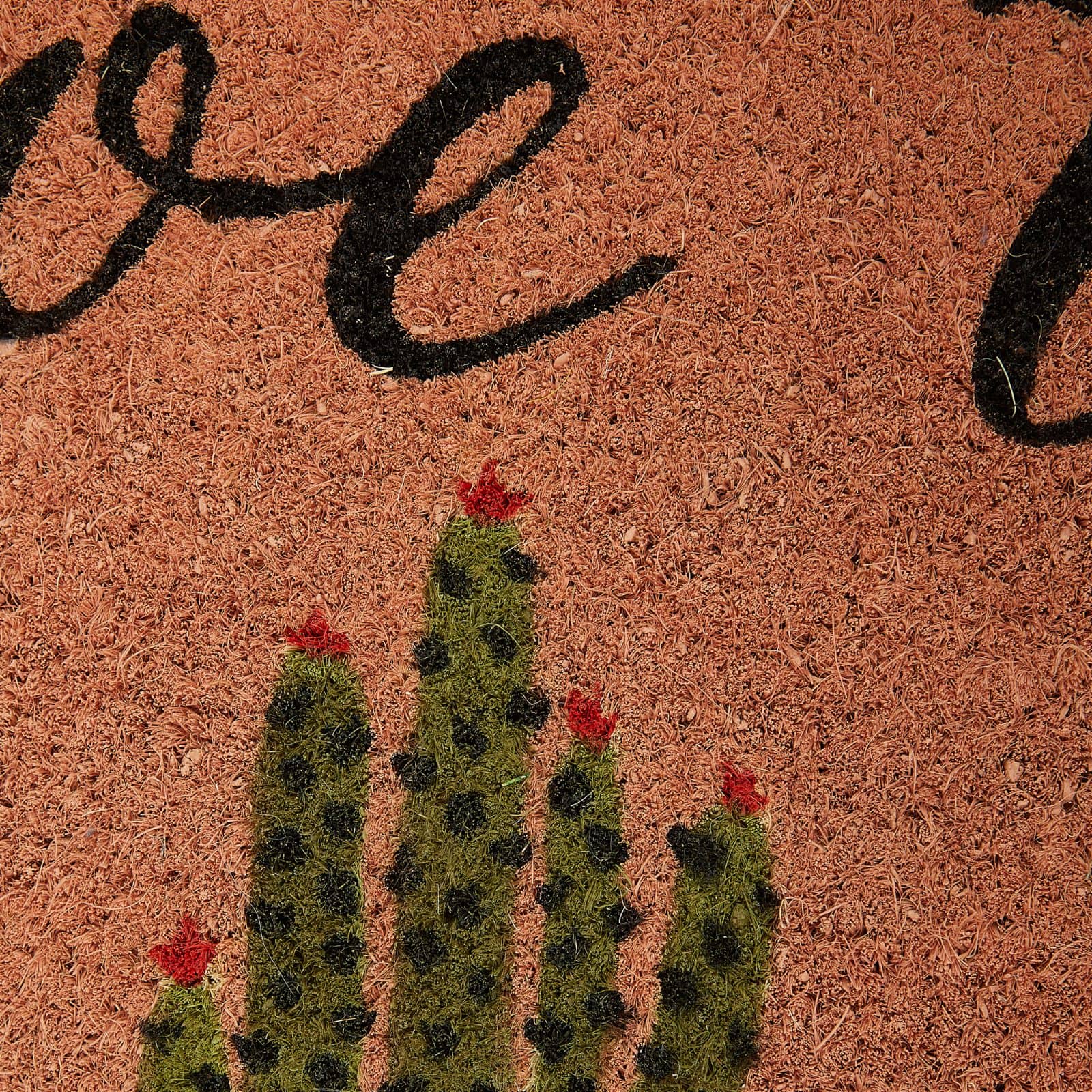 DII® Aloe There Doormat