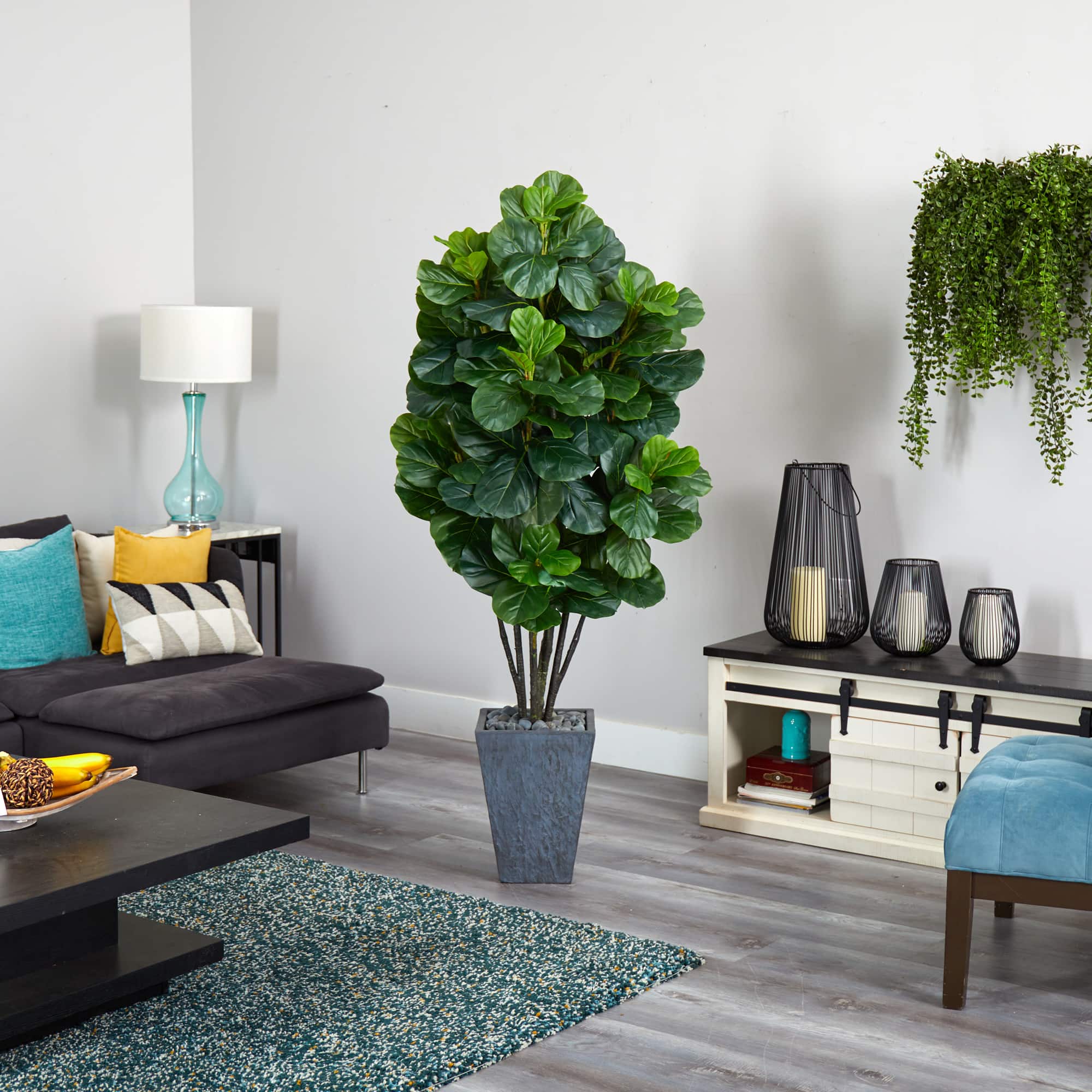 6ft. Fiddle Leaf Fig Tree in Slate Planter