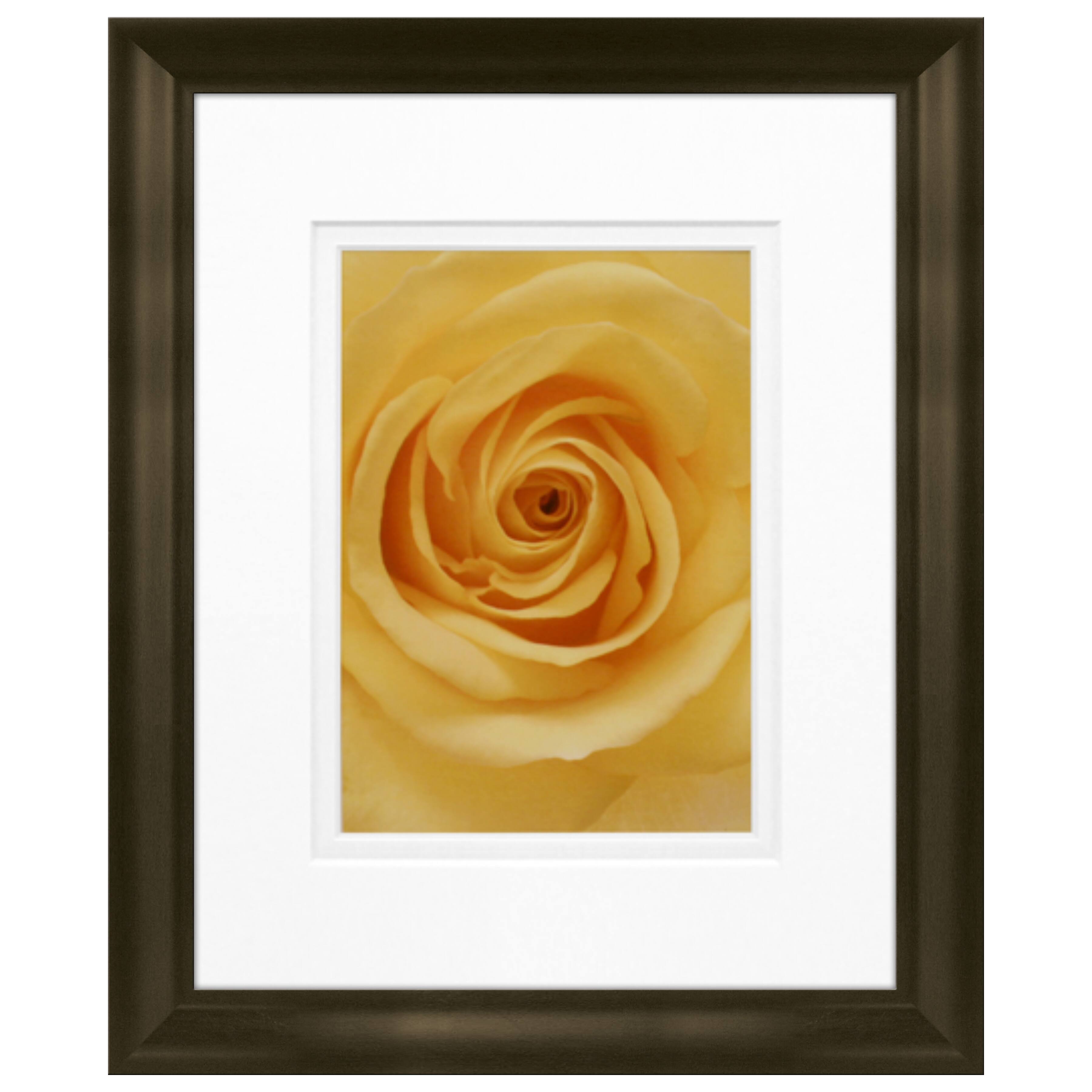 Timeless Frames® Rose in Bloom Framed Print Wall Art