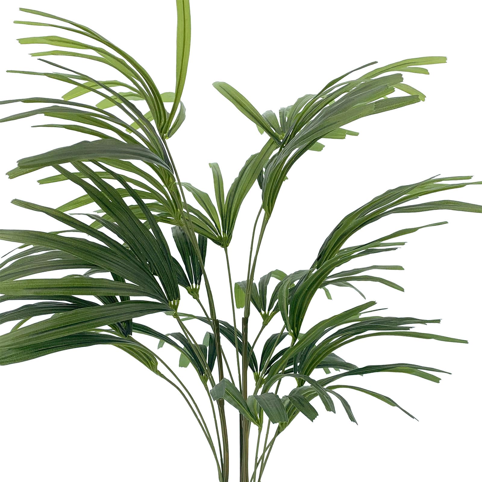 37&#x22; Potted Lady Palm Plant by Ashland&#xAE;