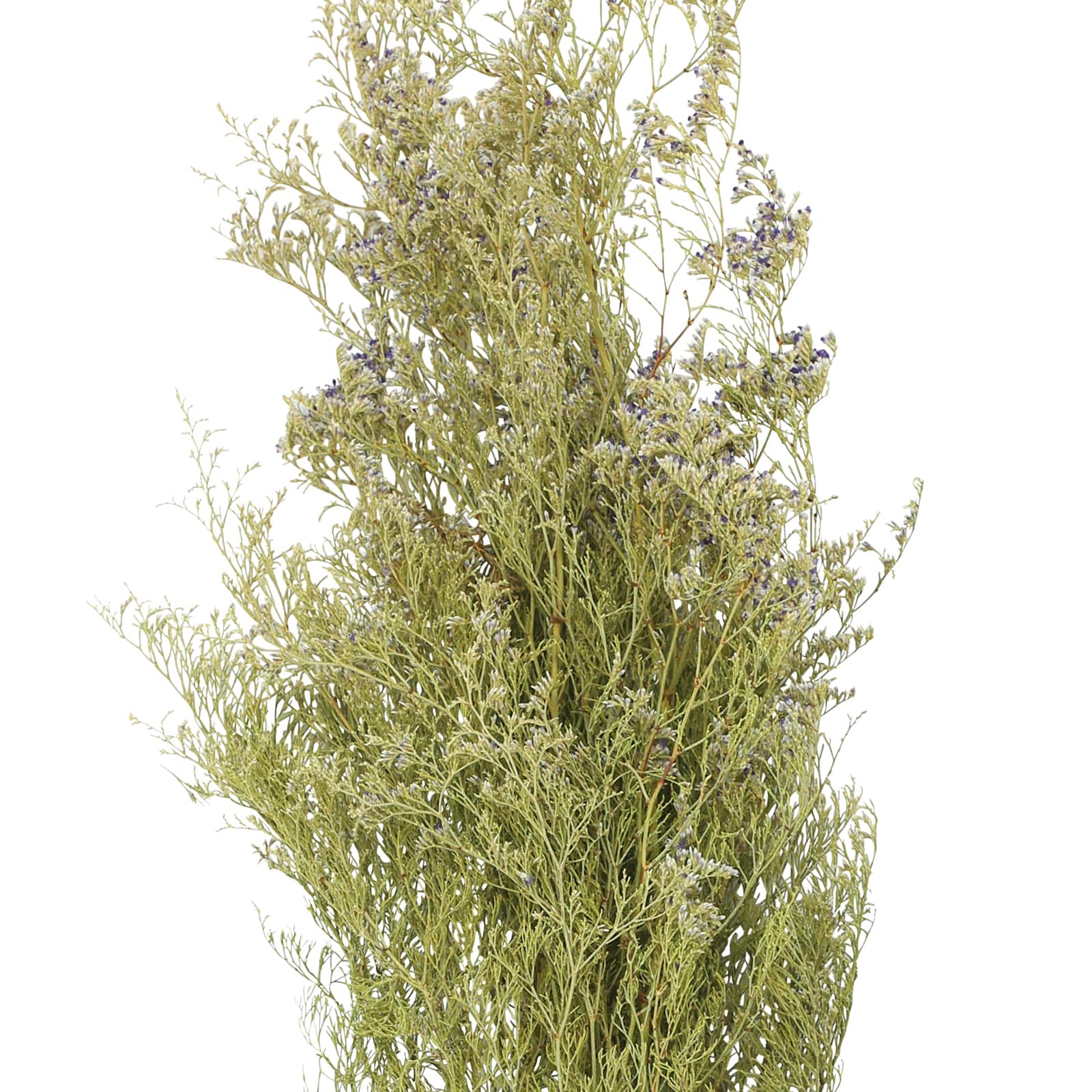 26" Natural Caspia Flowers by Ashland®