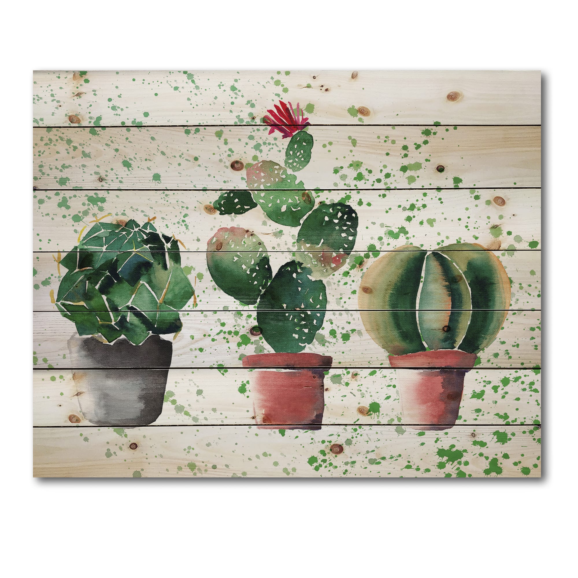 Designart - Three Cacti In Clay Pots - Botanical Print on Natural Pine Wood