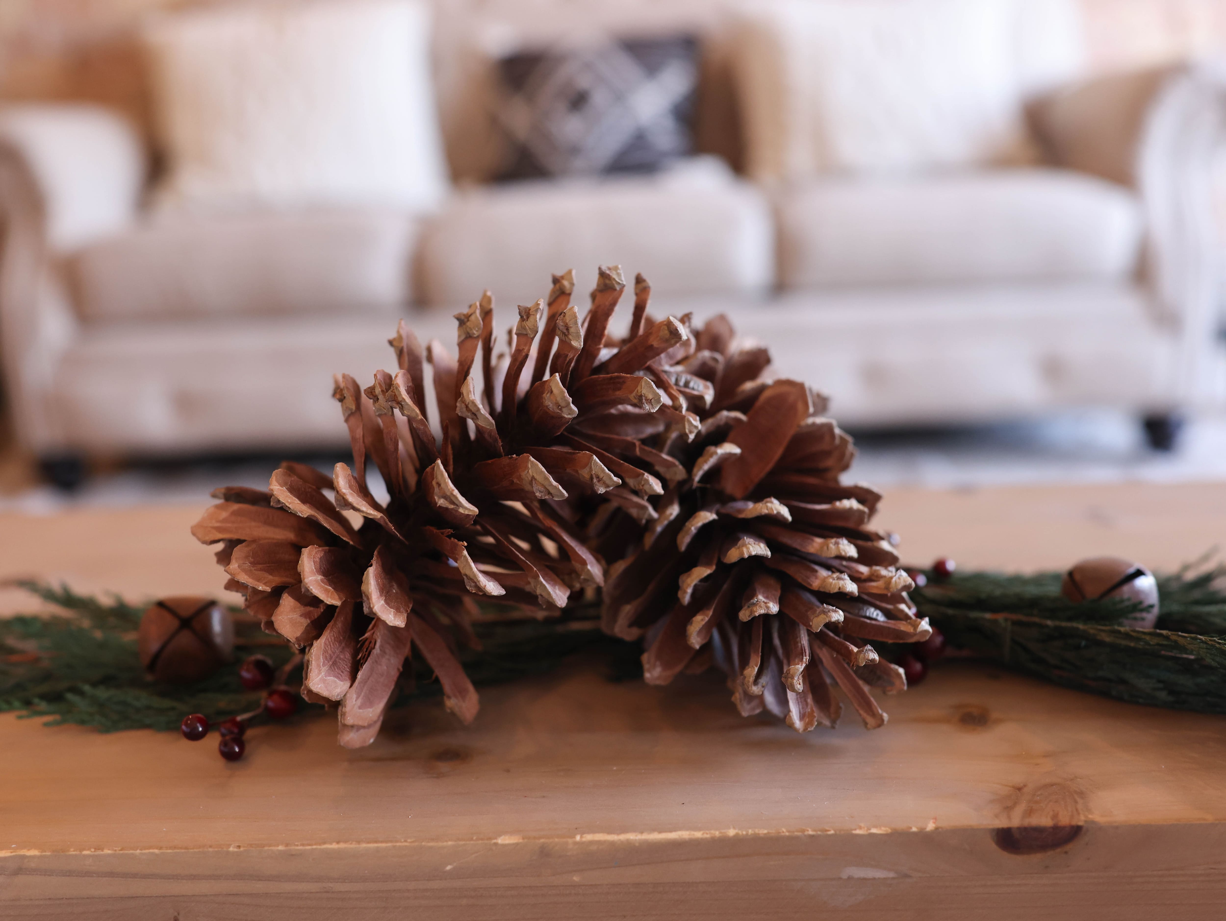 Natural Long Leaf Pinecones, 2ct. by Ashland®