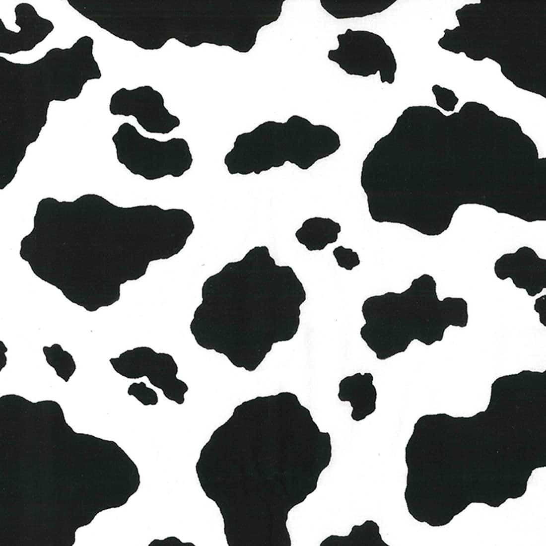 Download Cow Print Pattern Collage Wallpaper